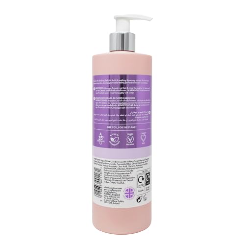 Creightons Professional Cleanse &amp; Refresh Shampoo 500ml | Klärendes Salicy