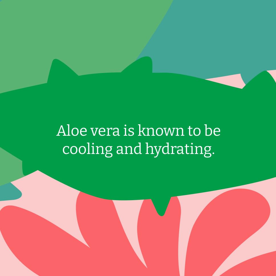 Faith In Nature Handmade Organic Aloe Vera Soap Bar with Ylang Ylang & Patchouli 7