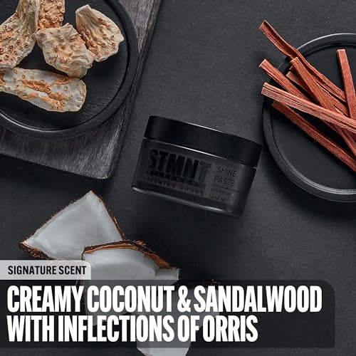 STMNT Grooming Goods Shine Paste for Strong Control and Natural Shine Finish