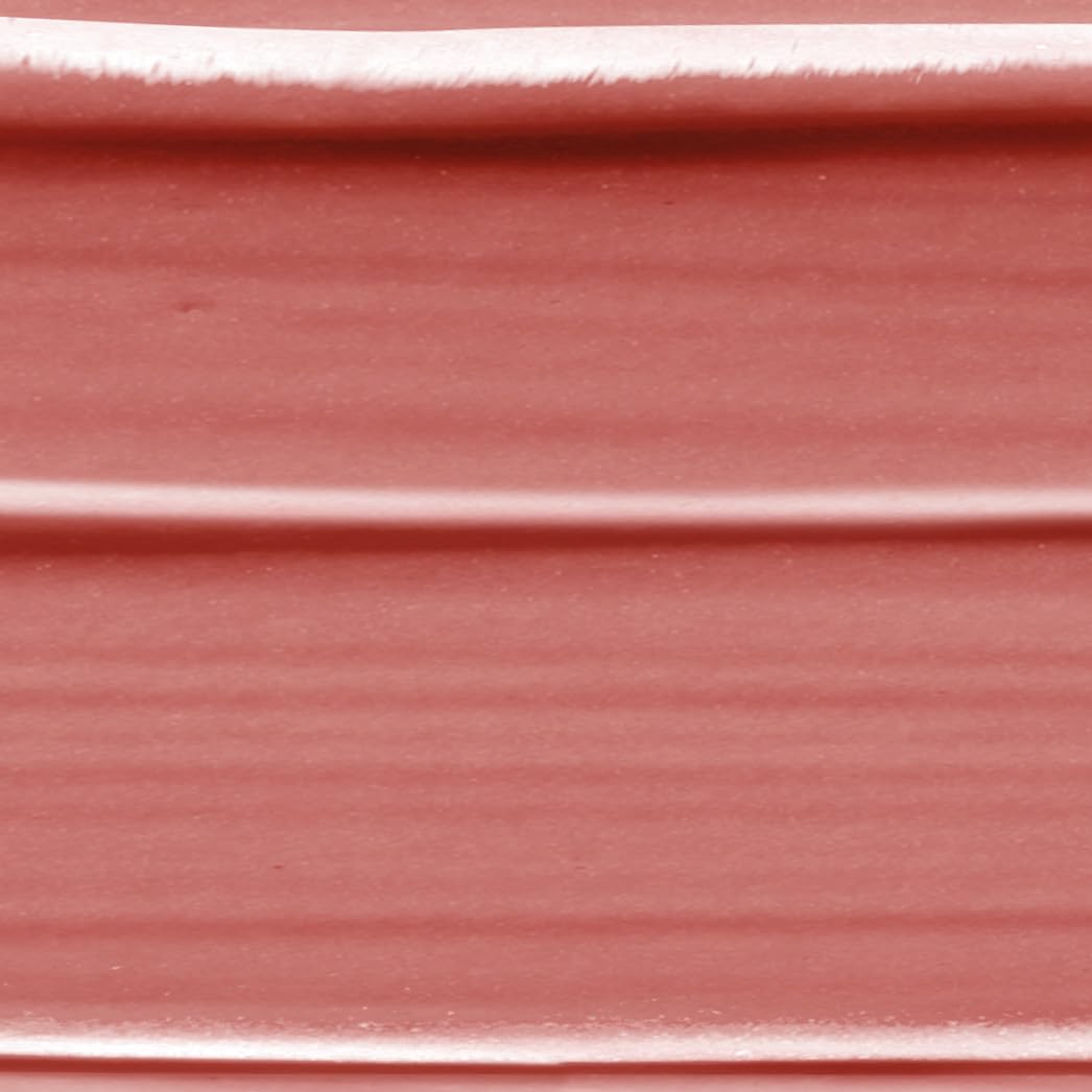 L'Oréal Paris Color Riche Satin Lipstick - Moisturising Pure Pigment Lip Colour 173 Impertinent 6