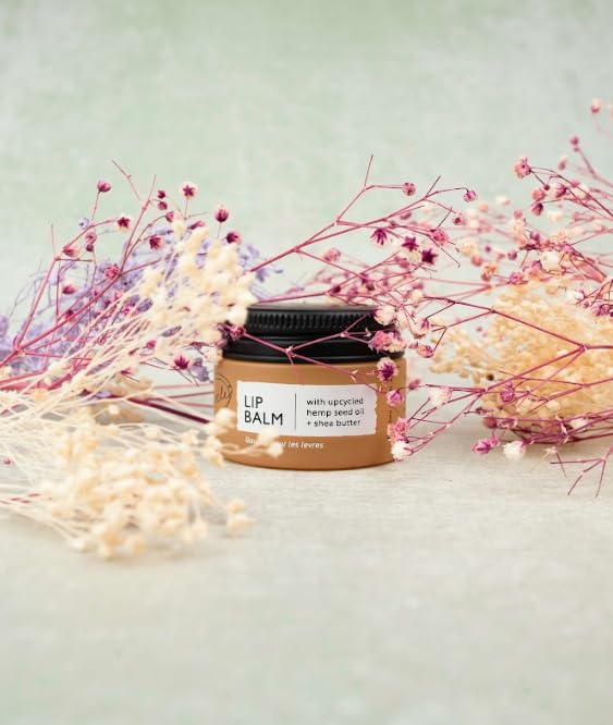 UpCircle Lippenbalsam mit Hanfsamenöl und Sheabutter, 15 ml – Feuchtigkeitsspendend und aufpolsternd 6