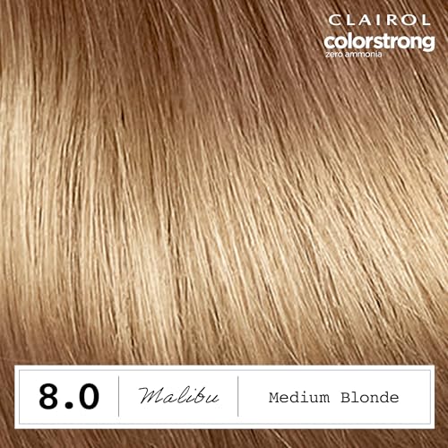 Clairol Colour Strong Permanent Hair Dye - 8.0 Medium Blonde with Zero Ammonia 8