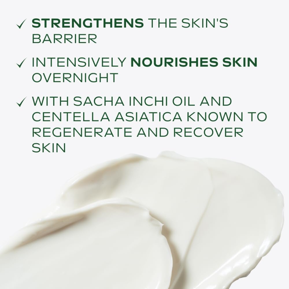 Weleda Skin Food Nourishing Night Cream with Shea Butter and Rose Scent 3