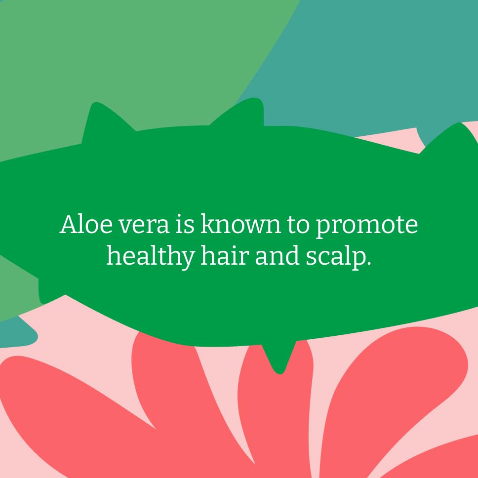 Faith In Nature Organic Aloe Vera Shampoo for Normal Hair & Scalp, Vegan, Cruelty Free, 400ml 7