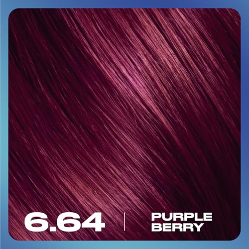 Clairol Nice N Easy Permanent Bold Hair Dye 6.64 Purple Berry Zero Ammonia