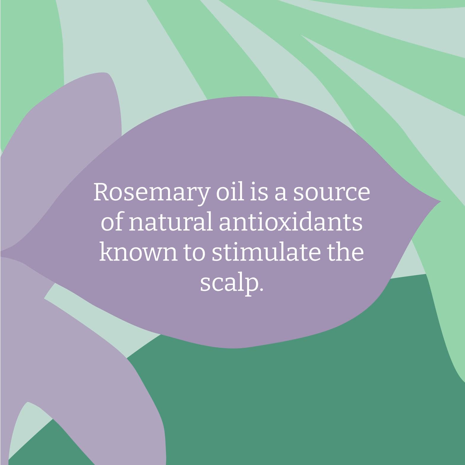 FAITH IN NATURE Natural Rosemary Shampoo for Normal Hair & Scalp, Vegan, Cruelty Free, 400ml 6