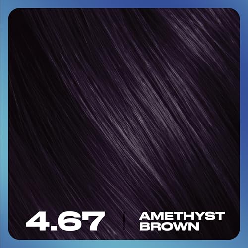 Clairol Nice N Easy Permanent Bold Hair Dye 4.67 Amethyst Brow Zero Ammonia