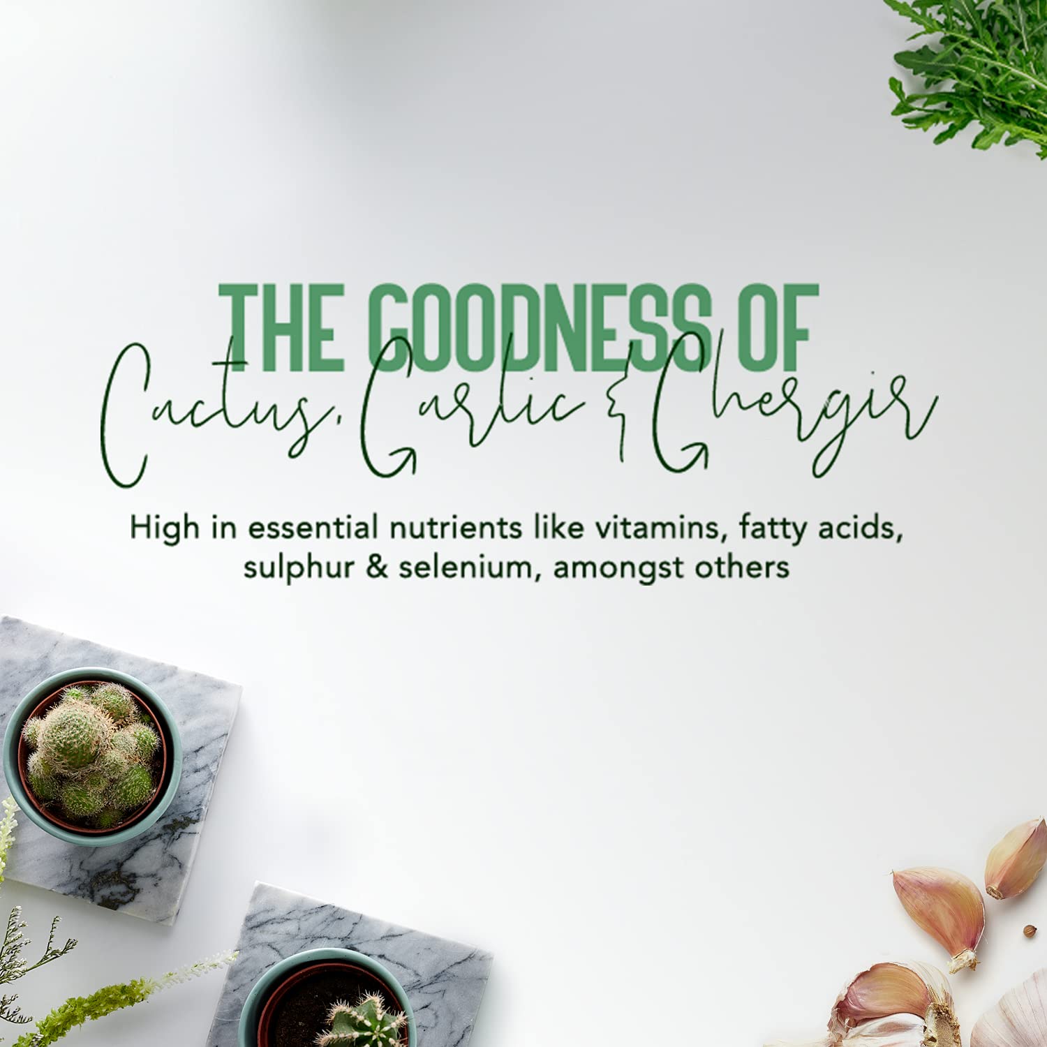 Vatika Naturals Cactus Enriched Hair Oil for Hair Fall Control 200 ml 4