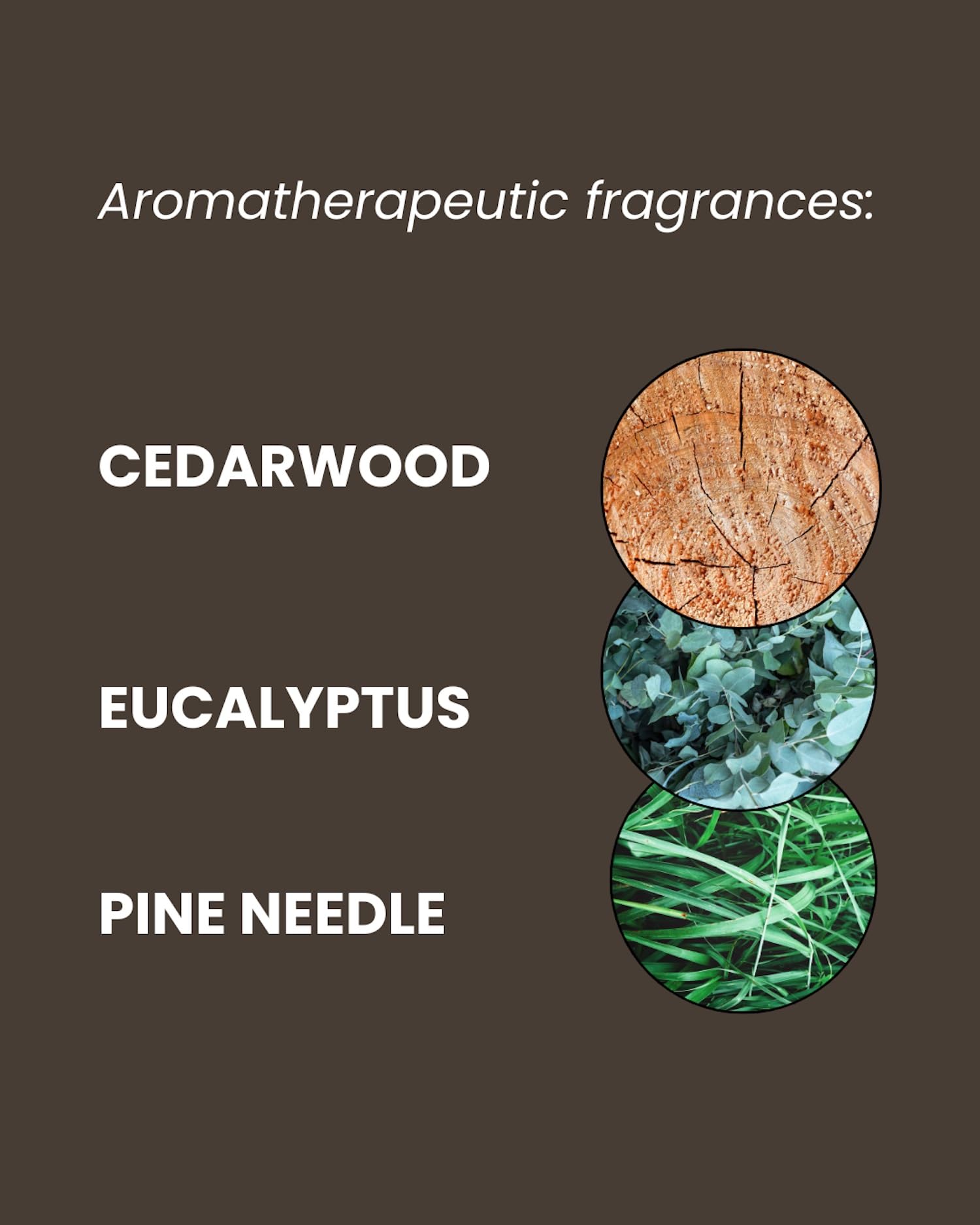 ManCave Cedarwood Shower Gel for Men - Deeply Cleansing & Vegan Friendly 5