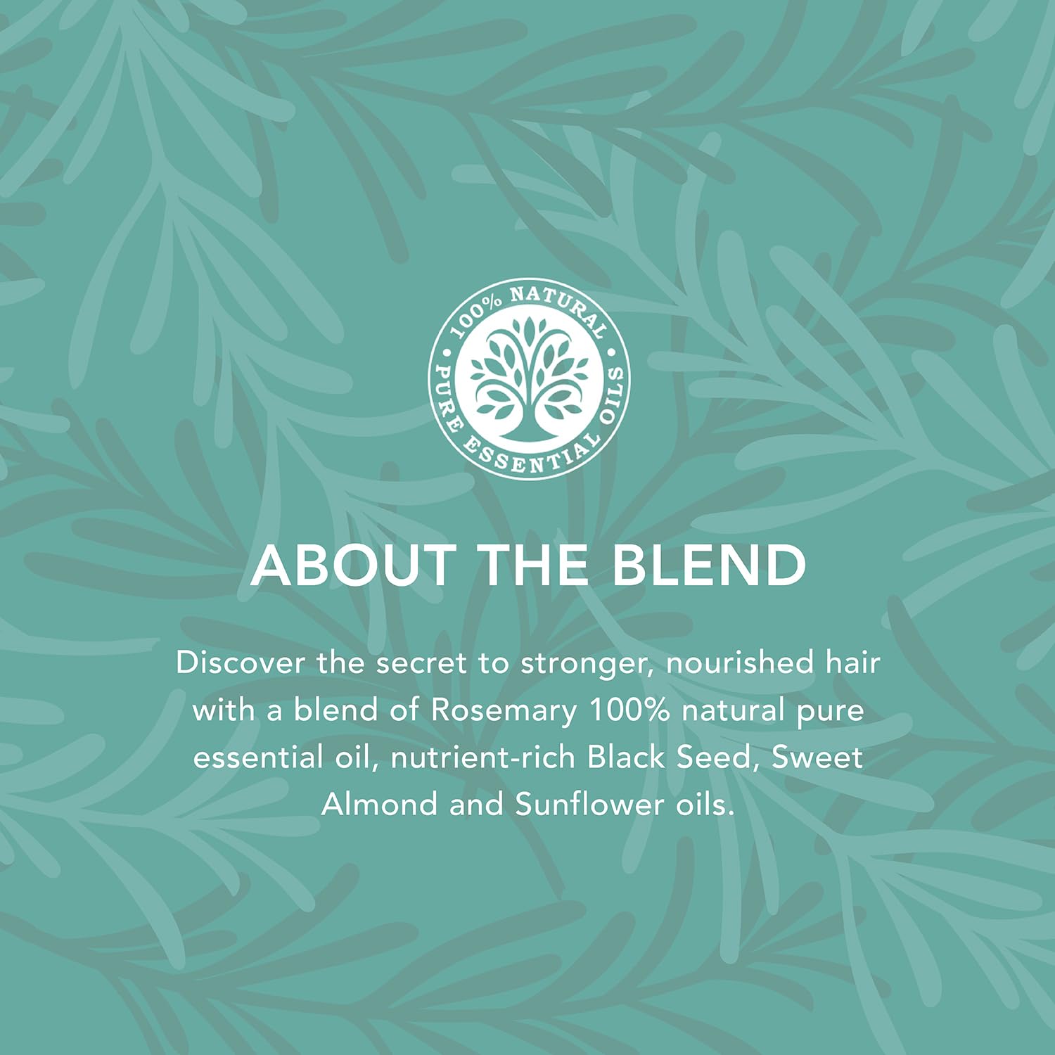 Tisserand Natural Pure Rosemary Hair Oil Spray for Hair Growth and Thicker Hair 4