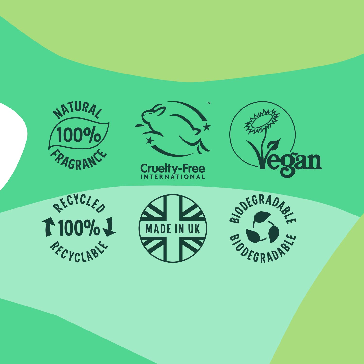 Faith In Nature 300 ml Natürlicher Lavendel- und Geranien-Conditioner, beruhigend, vegan und tierversuchsfrei, ohne SLS oder Parabene, für normales bis trockenes Haar 5