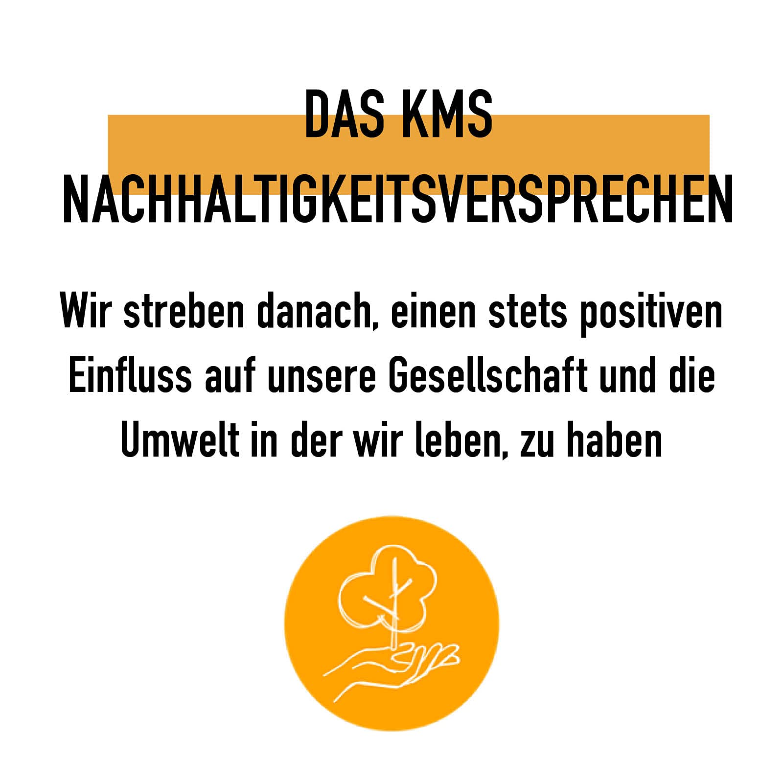 KMS TAMEFRIZZ Smoothing Lotion for Medium to Thick, Coarse Hair, 150 ml 4