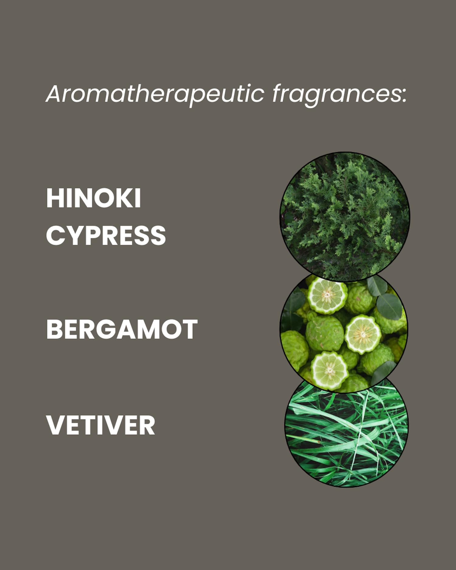 ManCave Hinoki Wood Shower Gel for Men with Natural Woody Aroma 6