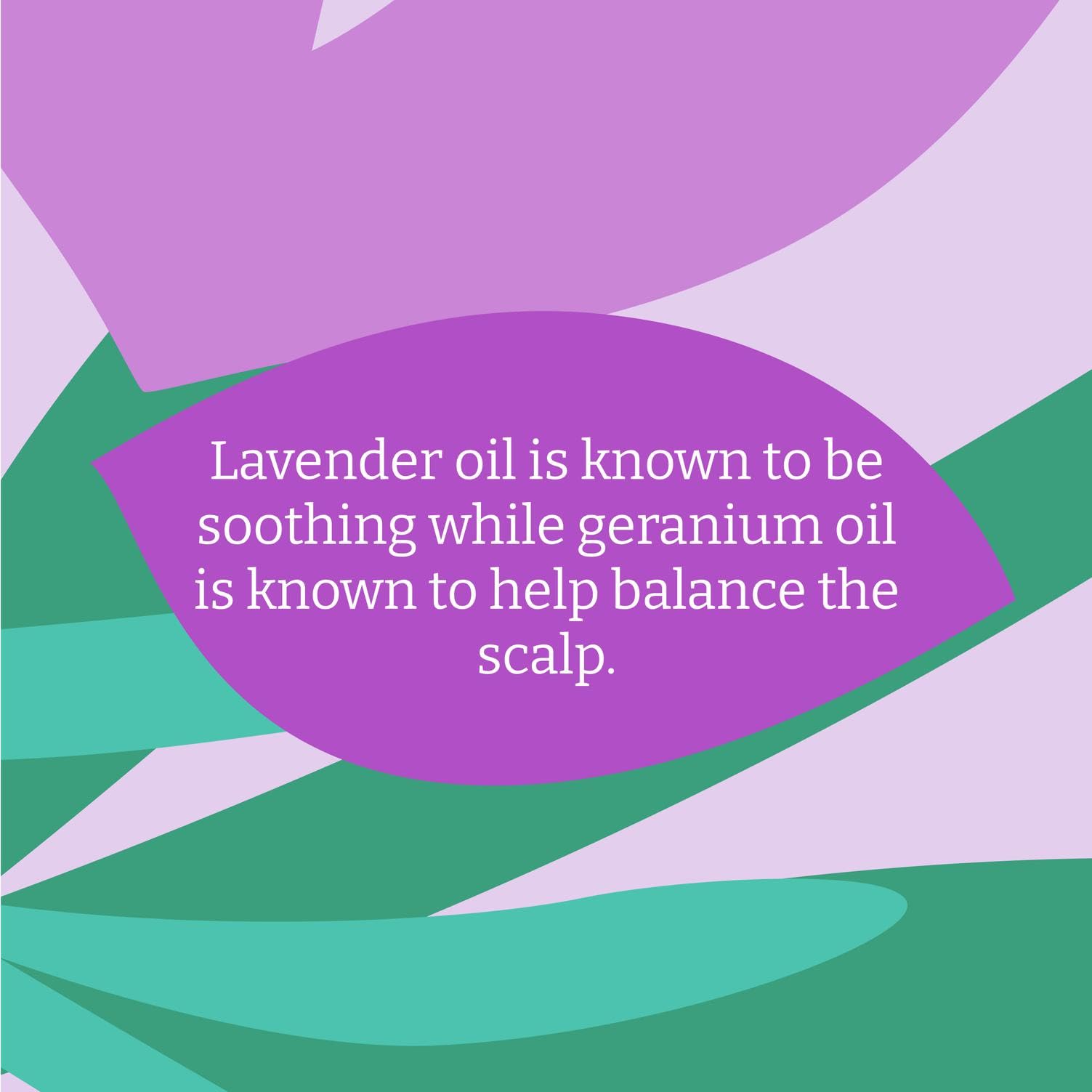 Faith In Nature Lavender & Geranium Conditioner, 500ml Metal Bottle, Normal Hair 6