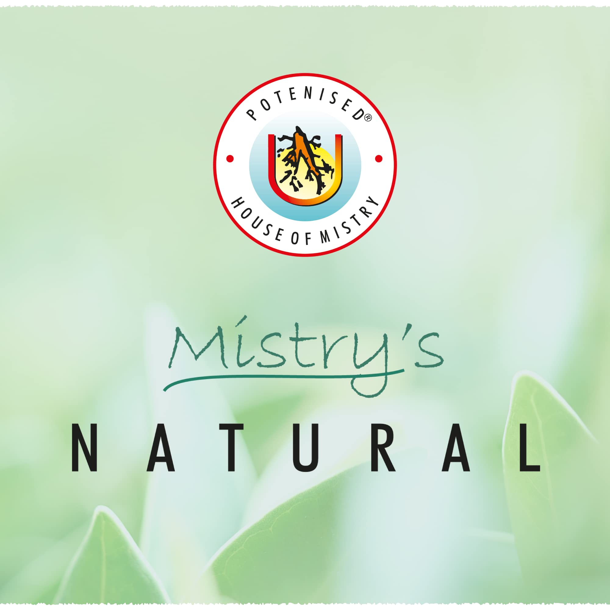 Mistry's Aloe Vera Propolis Cream 50g - Healing, Moisturising Cream for Eczema & Irritation 7