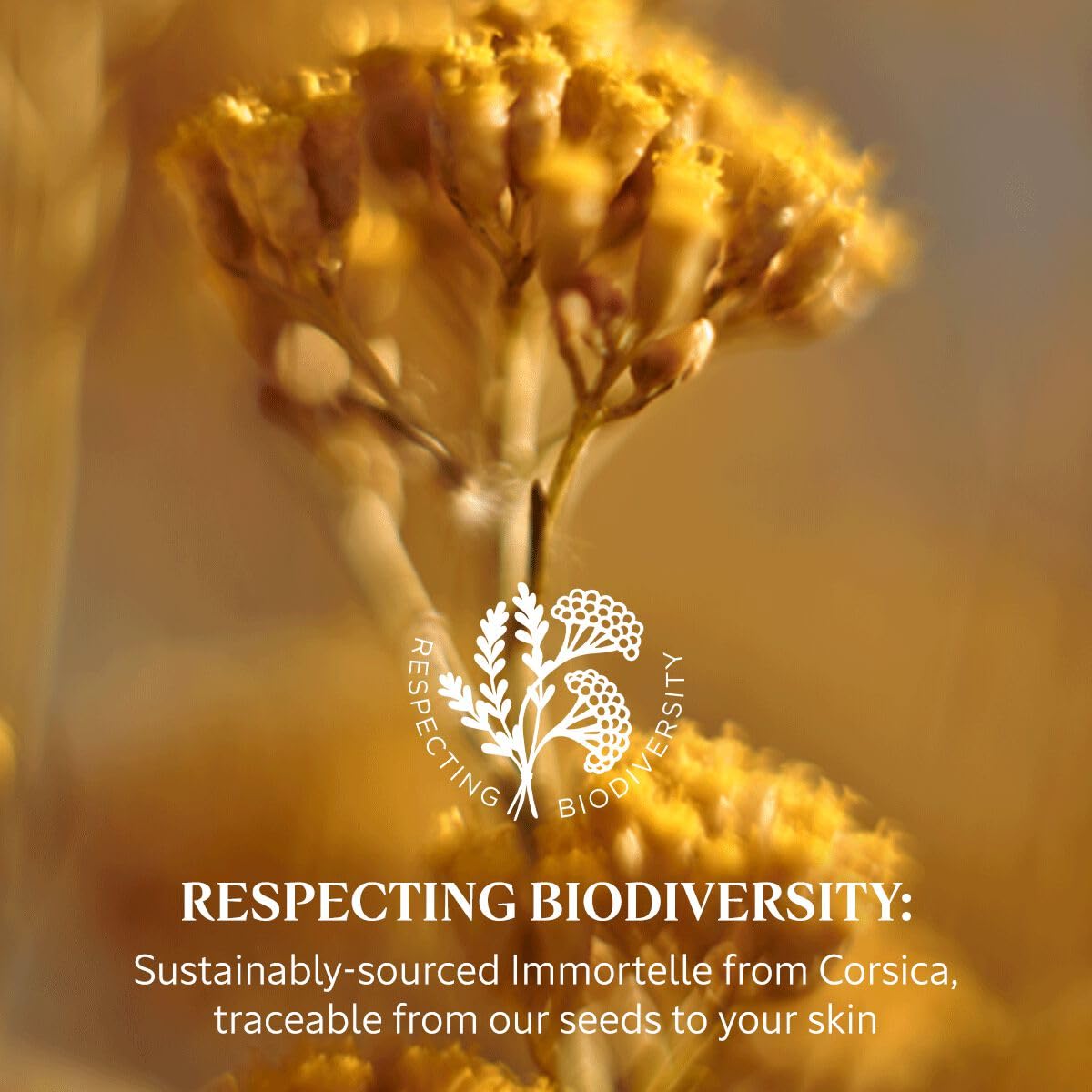 L'OCCITANE Immortelle Precious Cleansing Oil 200ml | Vegan & 95% Readily Biodegradable 4