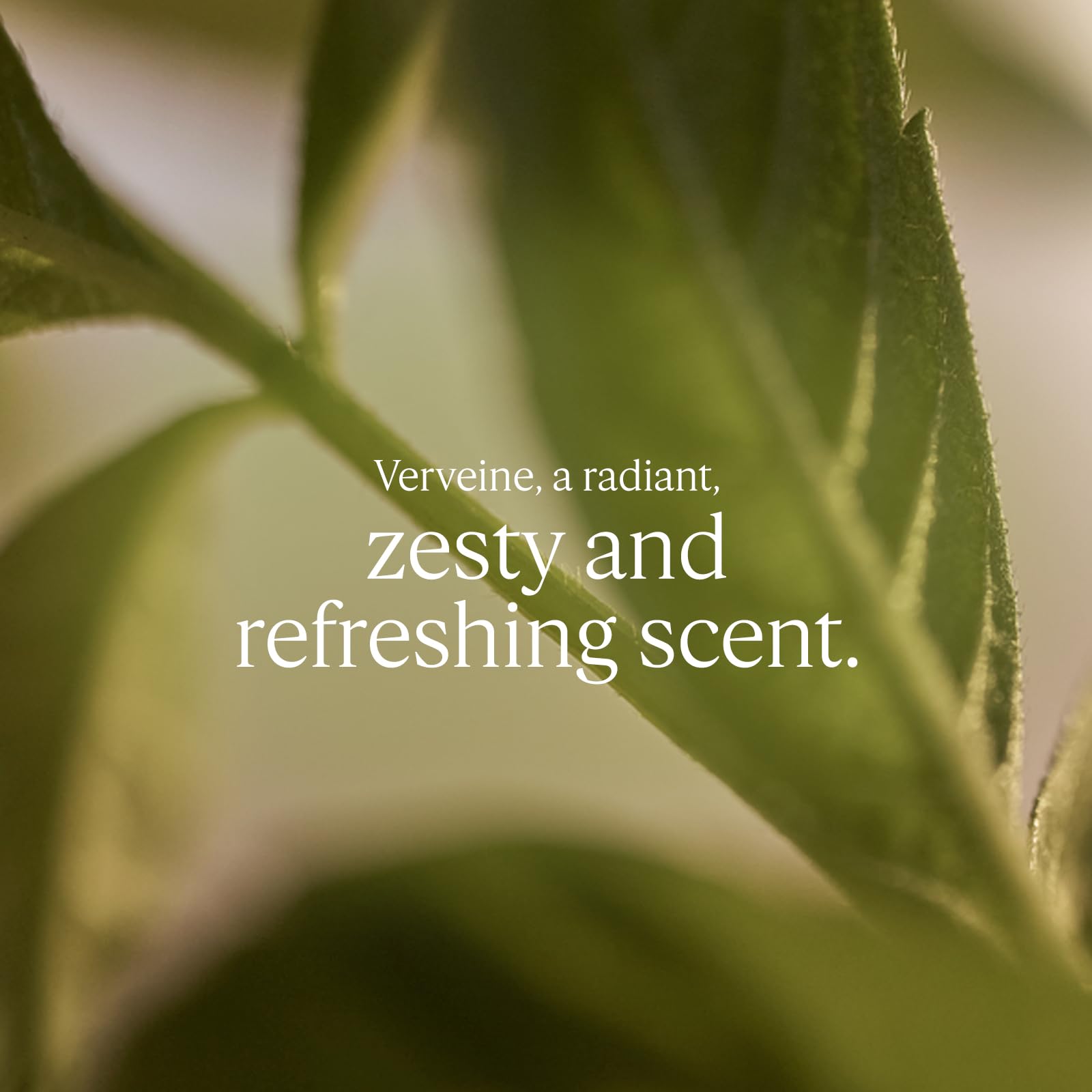 L'OCCITANE Verbena Shower Gel Refill 500ml - Vegan Citrus Scented Body Wash 3