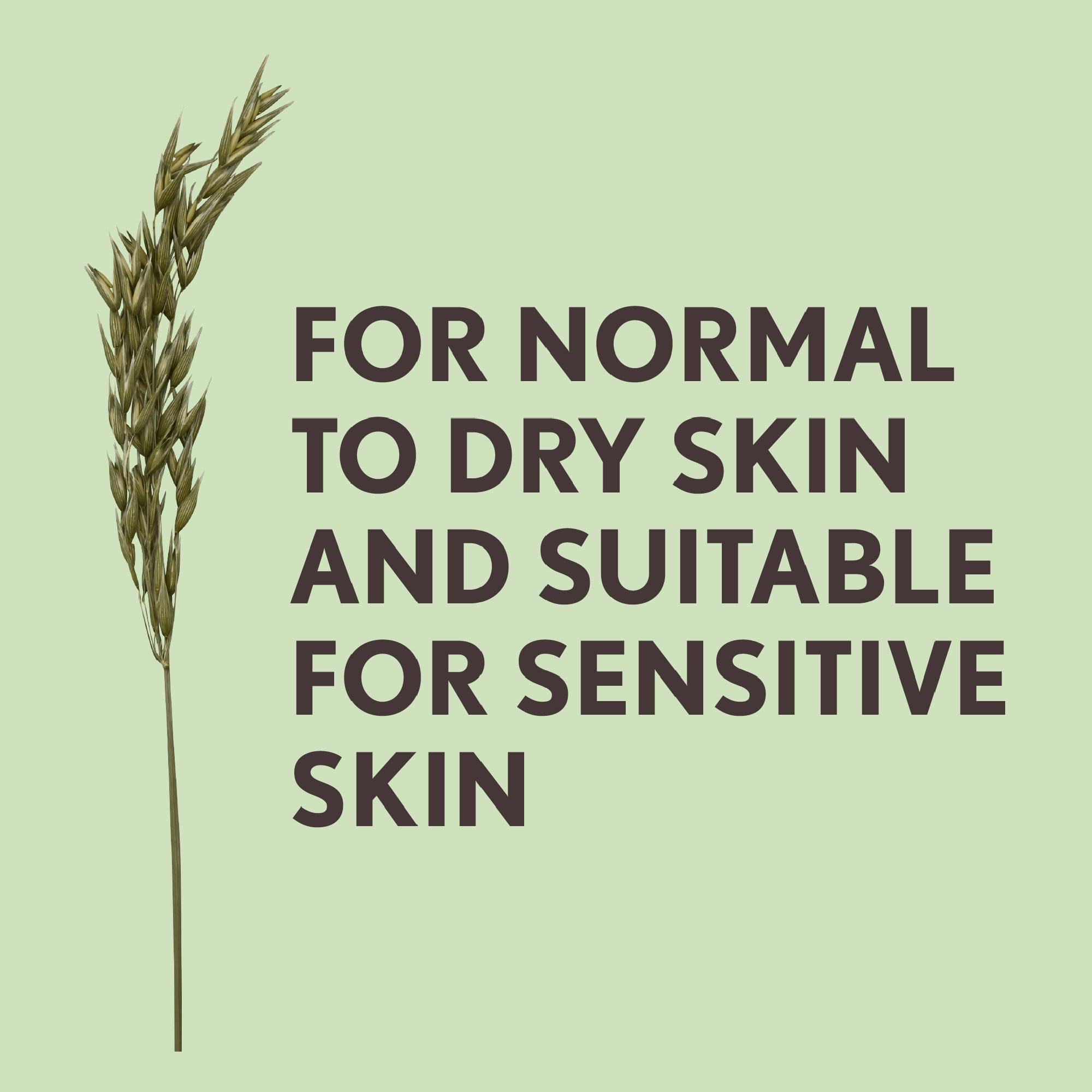 Aveeno Tägliche Feuchtigkeitspflege Geschenkset für normale bis trockene Haut, mit beruhigender Ölsäure 4