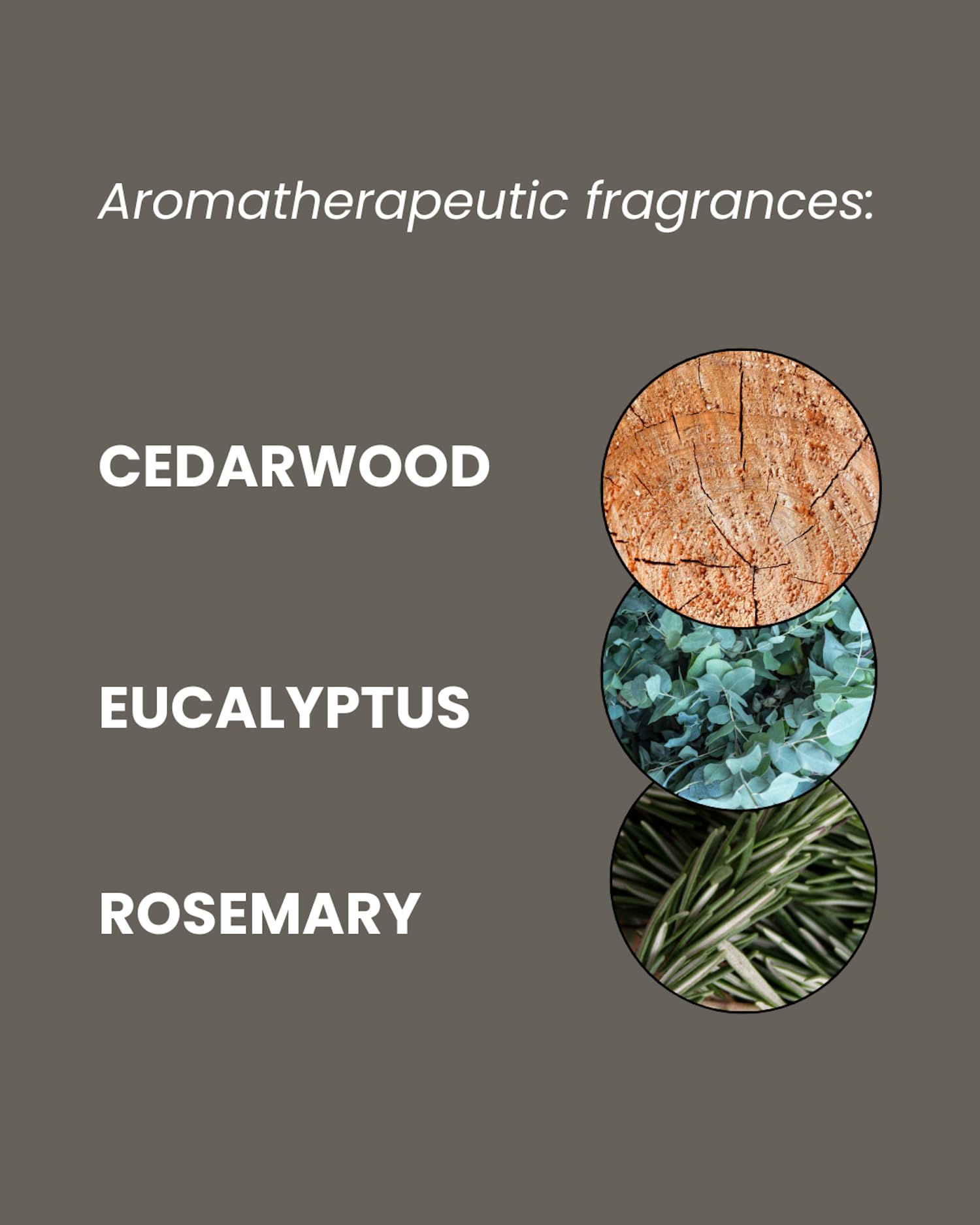 ManCave Aloe and Pine Shower Gel for Men, Sulphate & Paraben Free, 200 ml 5