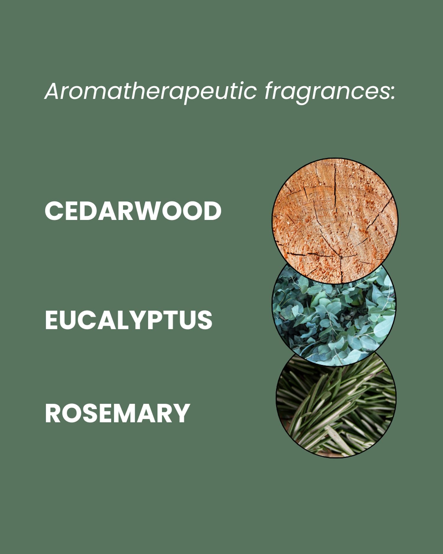 ManCave Aloe and Pine Shower Gel for Men, Sulphate & Paraben Free, 500 ml 6