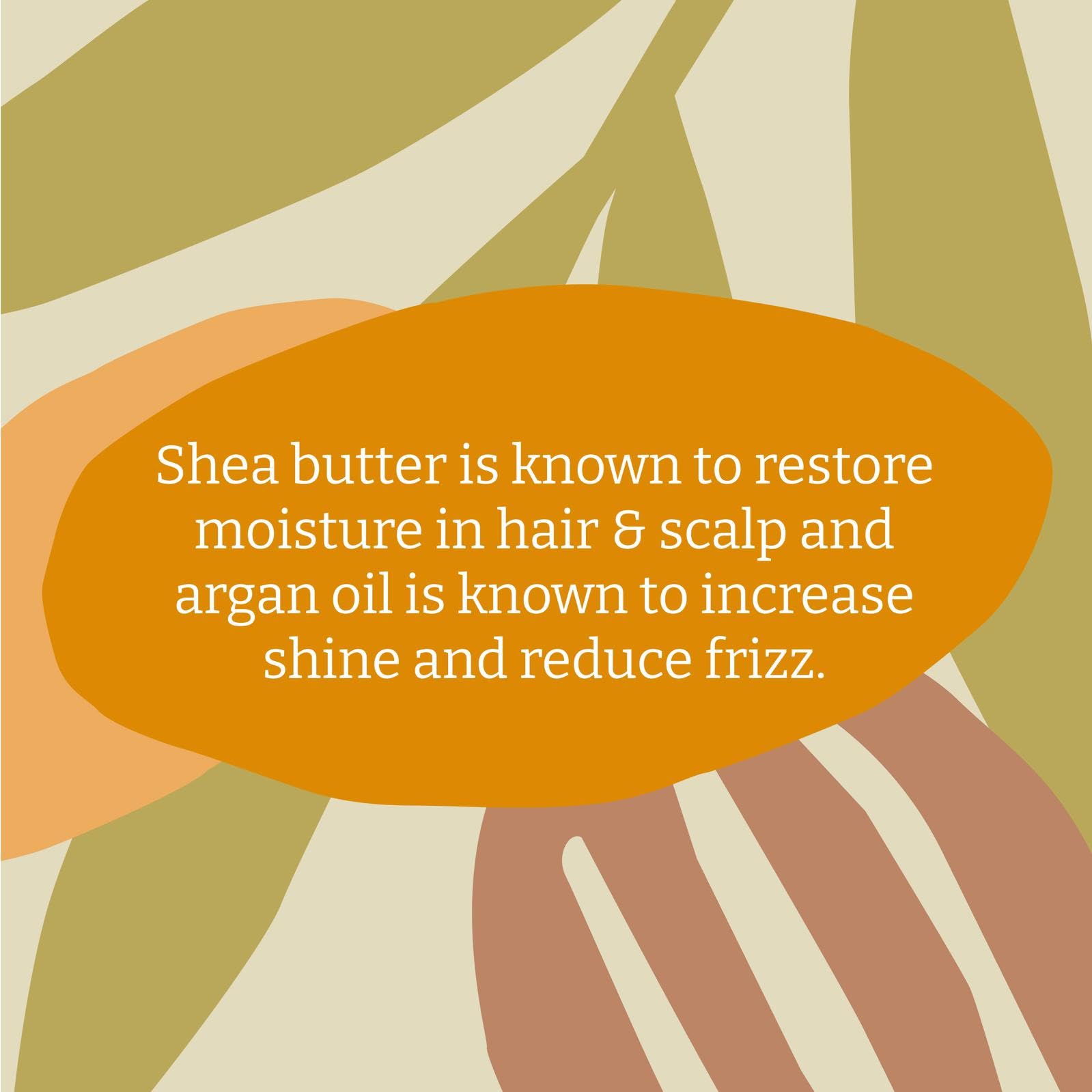 Faith In Nature 1L Natürlicher Shea- &amp; Argan-Conditioner, Feuchtigkeitsspendend für lockiges Haar und trockene Kopfhaut, Vegan &amp; Tierversuchsfrei, Ohne SLS, Silikone oder Parabene, Familiengröße 6