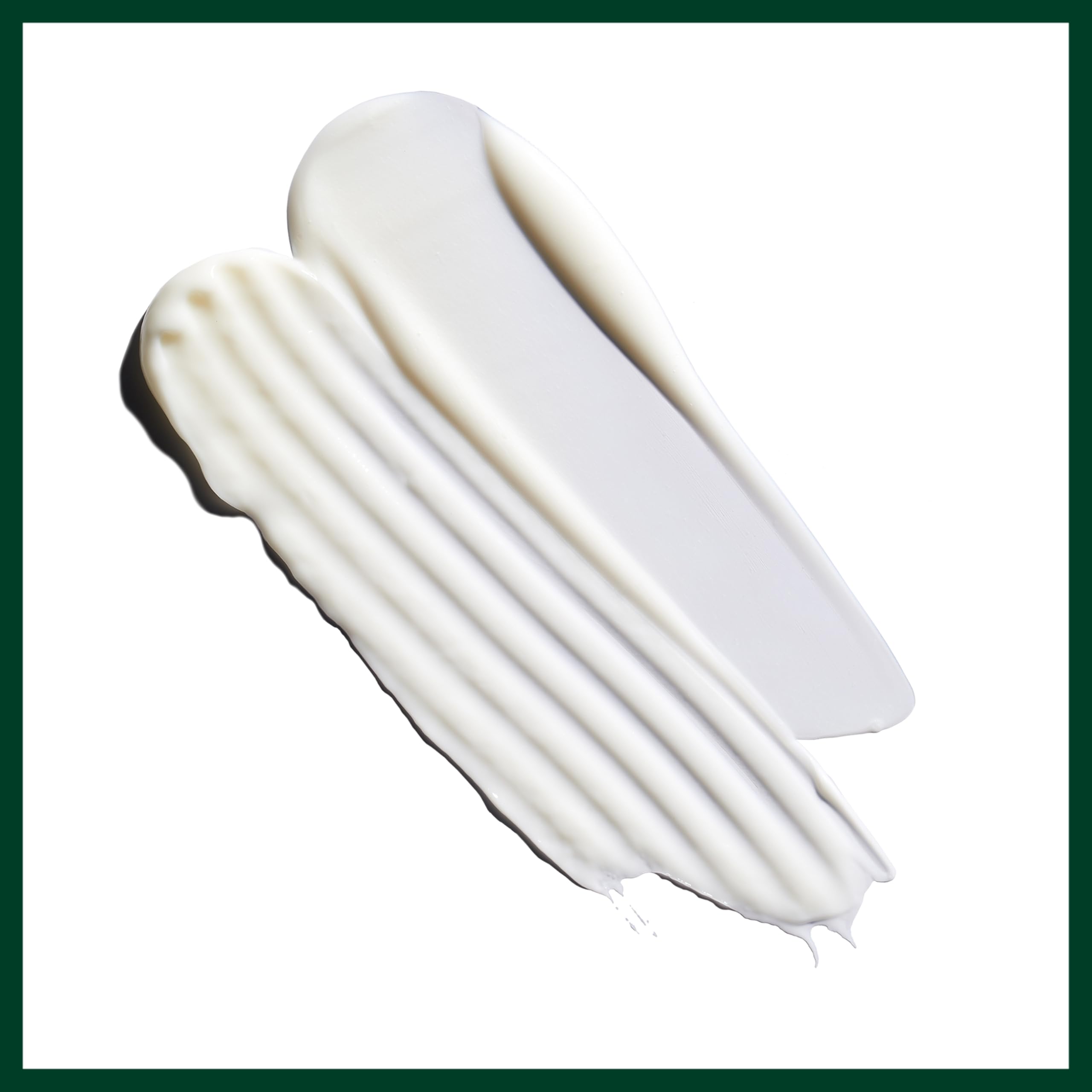 Aveda Nutriplenish Conditioner Light Moisture | Superfood Hair Conditioner 5