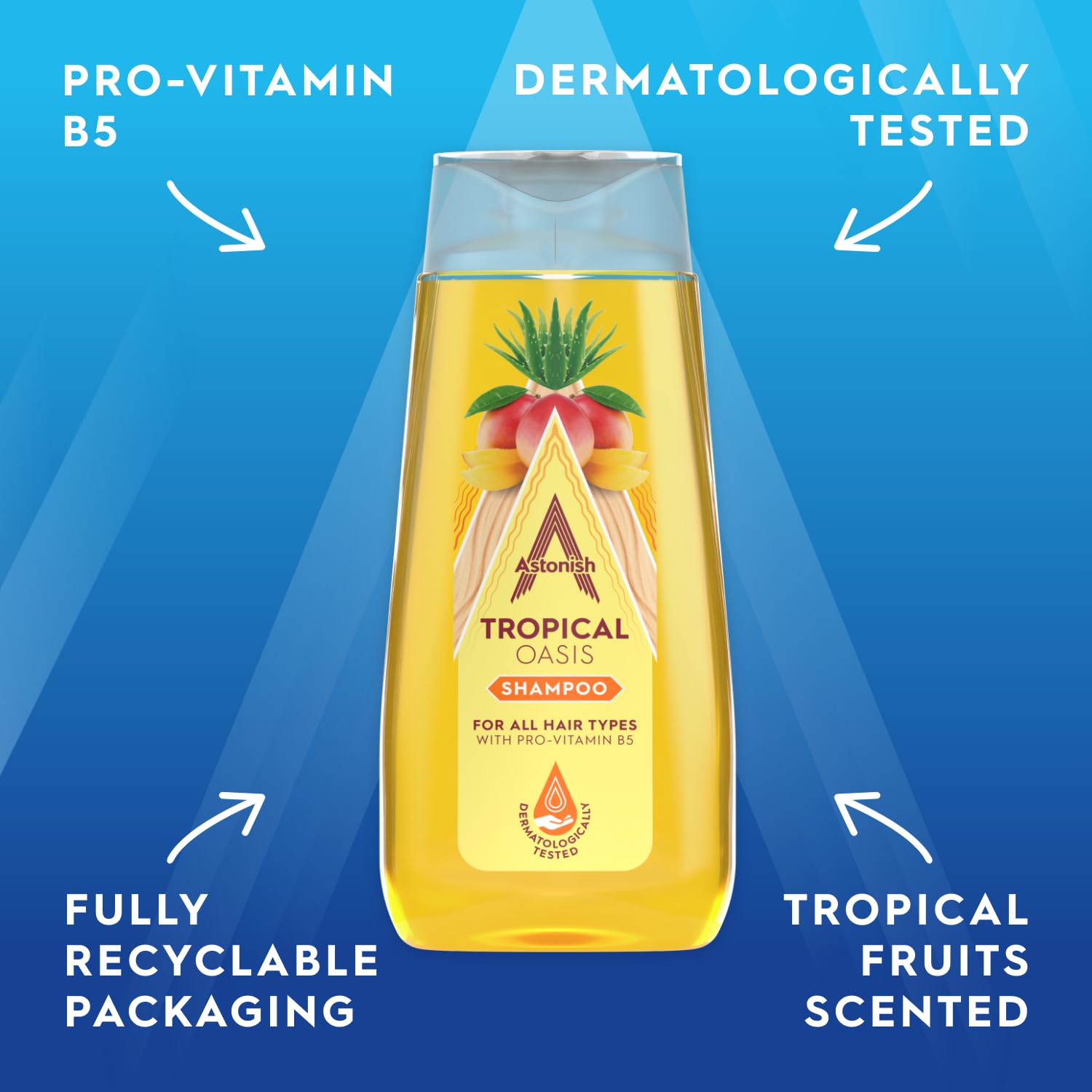 Astonish Tropical Shampoo with Pro-Vitamin B5 (400ml) 6