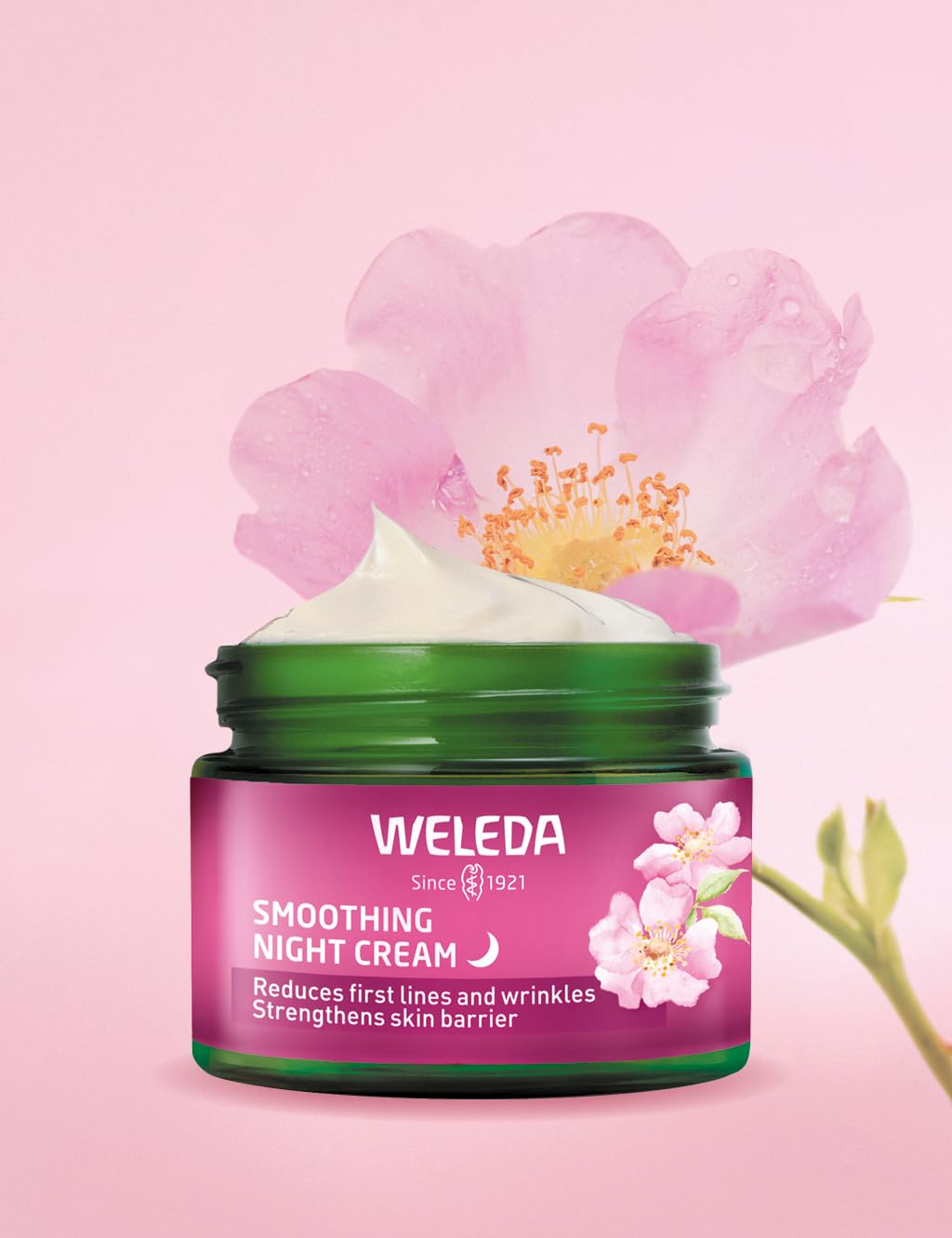 Weleda Smoothing Night Face Cream with Wild Rose & White Tea for Moisturising 6