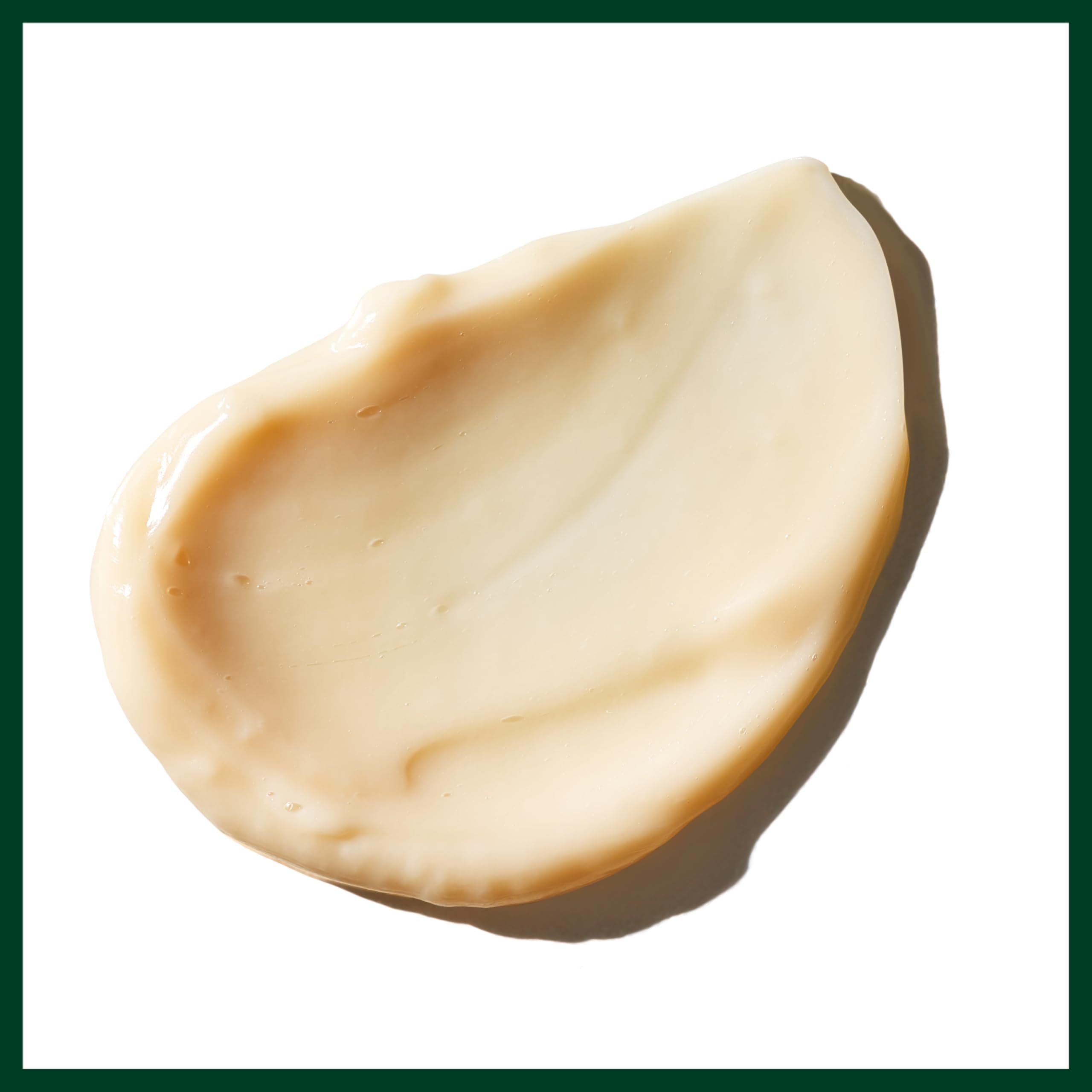 Aveda Sap Moss Weightless Hydration Conditioner | Hydrates and Detangles 5