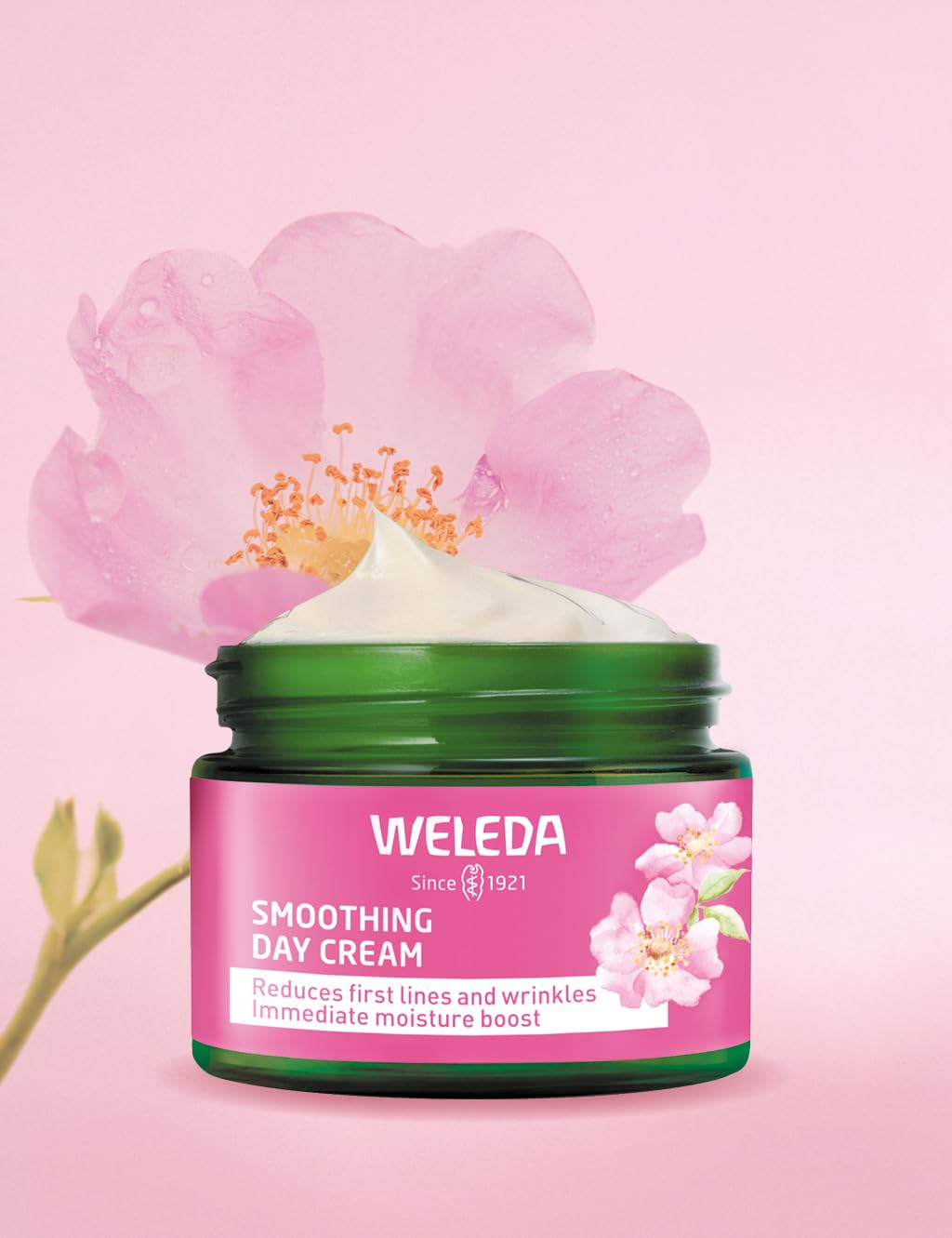 Weleda Smoothing Day Face Cream with Wild Rose & White Tea for All Skin Types 6
