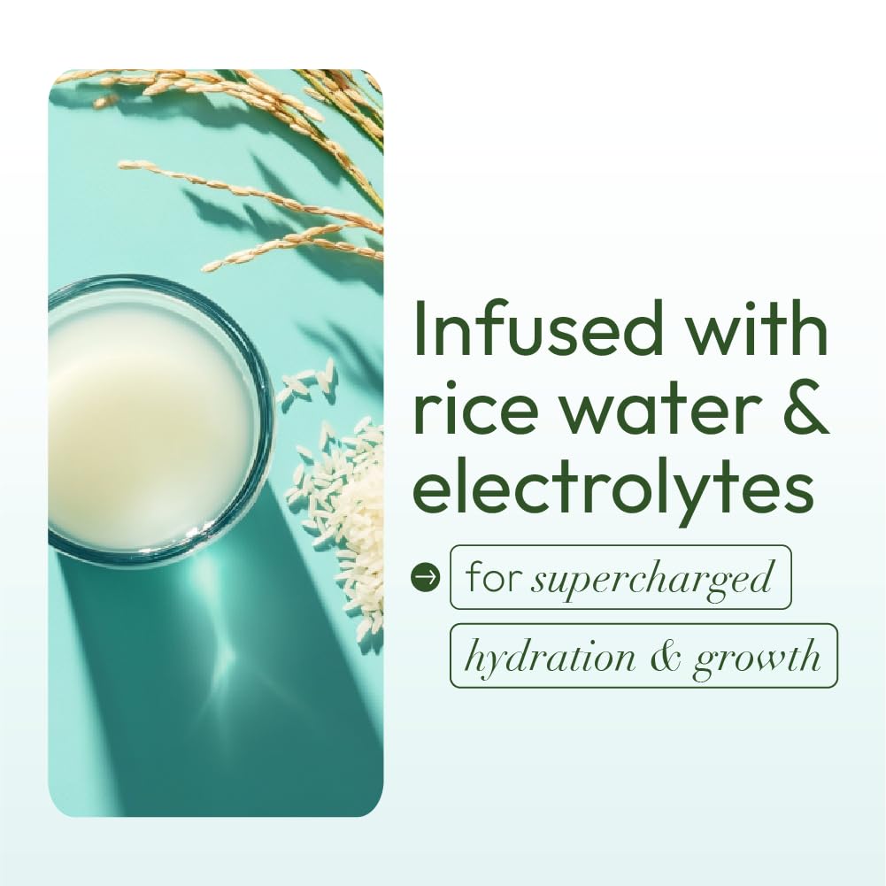 ORS Olive Oil Leave-In Conditioner with Rice Water for Ultimate Moisture & Detangling - 473ml 5