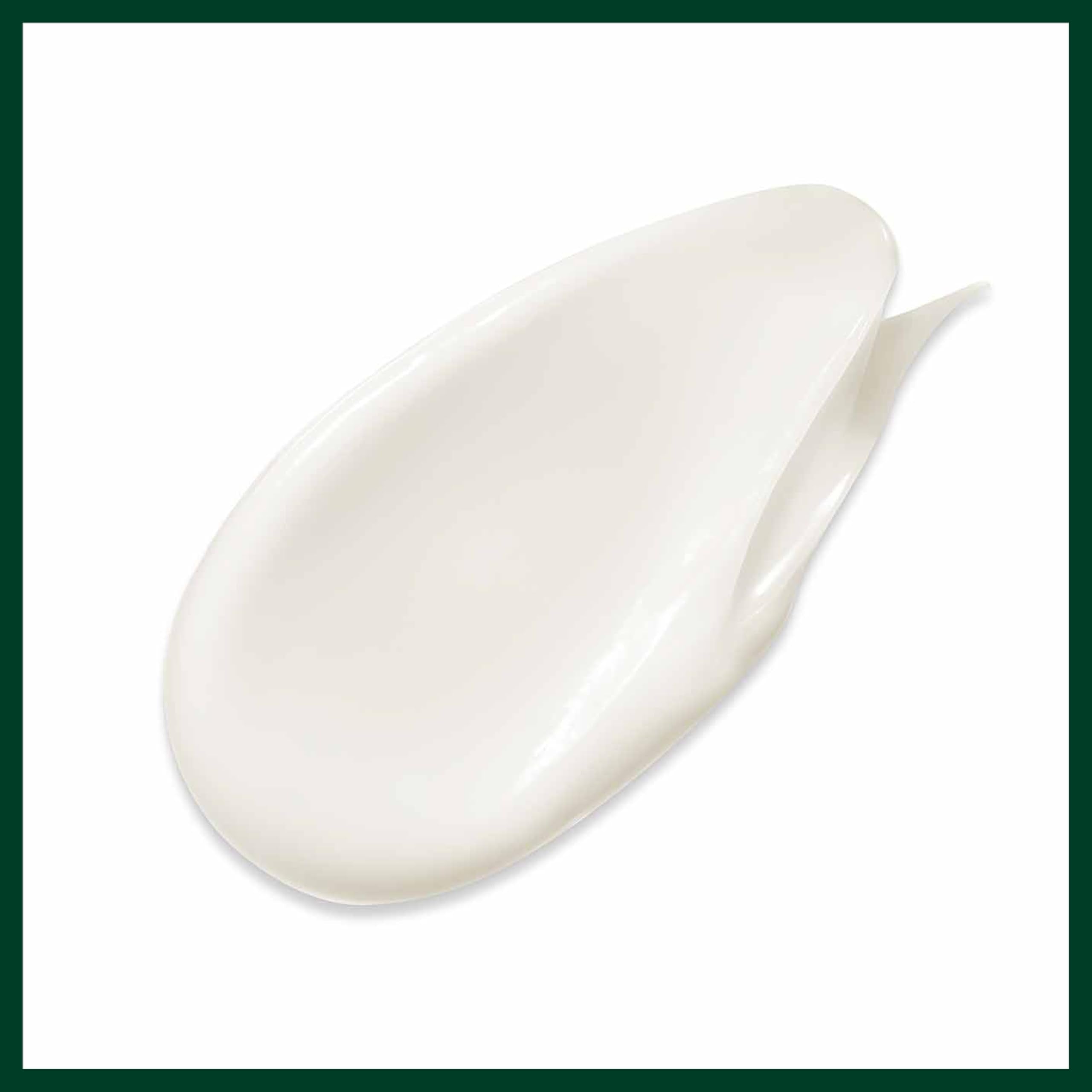 Aveda Botanical Repair Strengthening Conditioner | Silicone-Free Formula 5