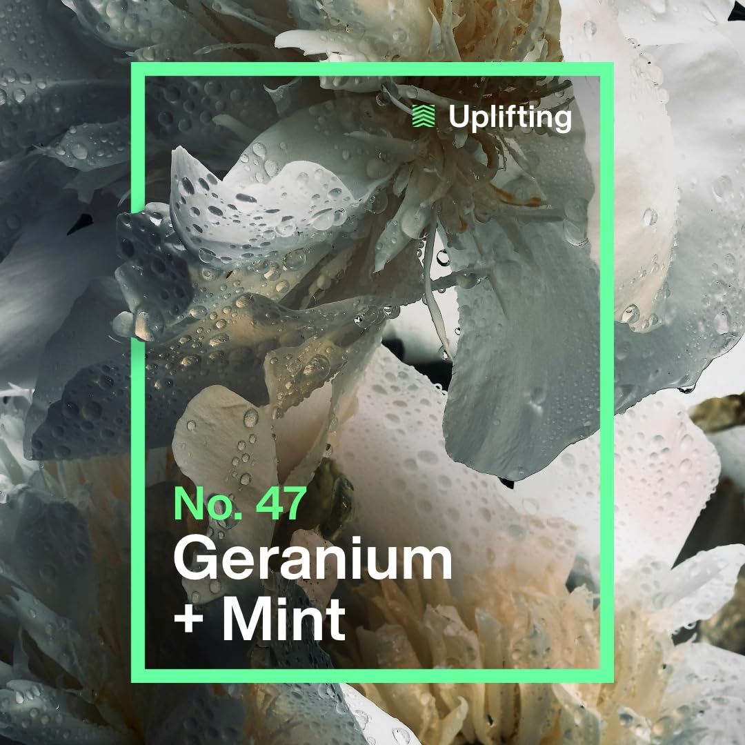 INEOS Skin Science Hand Wash with Provitamin B5, Geranium + Mint, 500ml 6