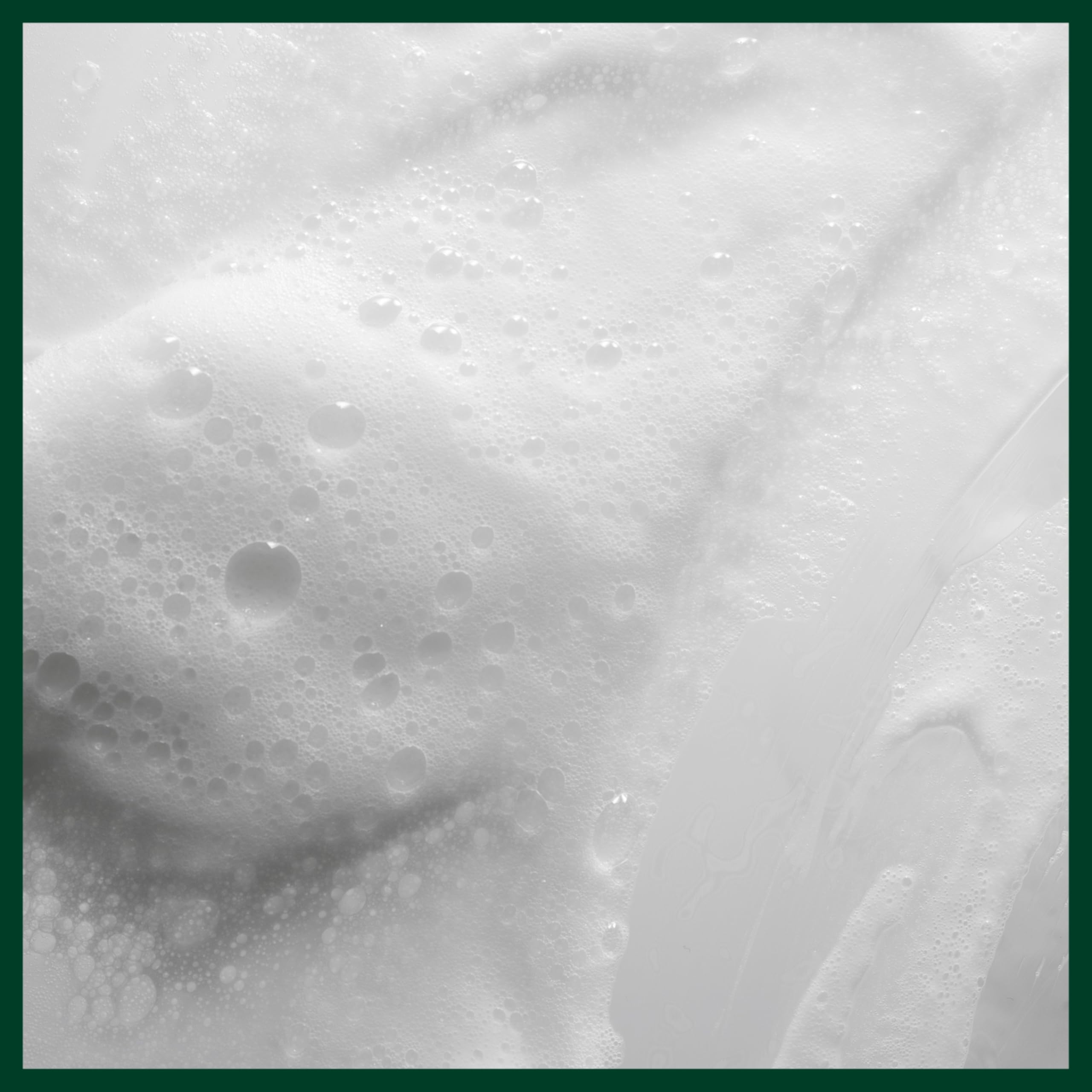 Aveda Scalp Solutions Balancing Shampoo | Gentle Purifying Shampoo for All Hair Types 7