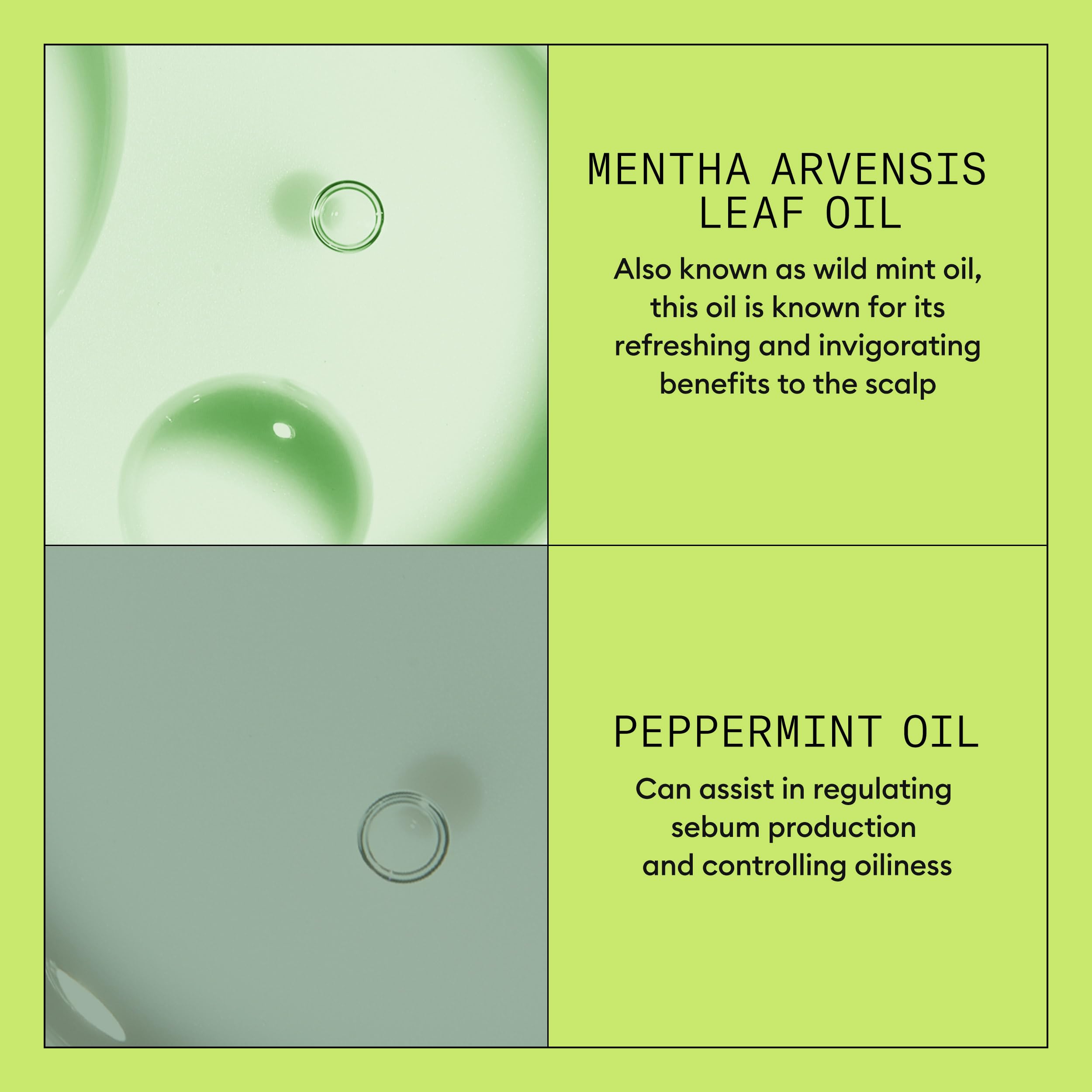 NIOXIN System 2 Conditioner: Hair Thickening for Natural Hair with Progressed Thinning (300ml) 4