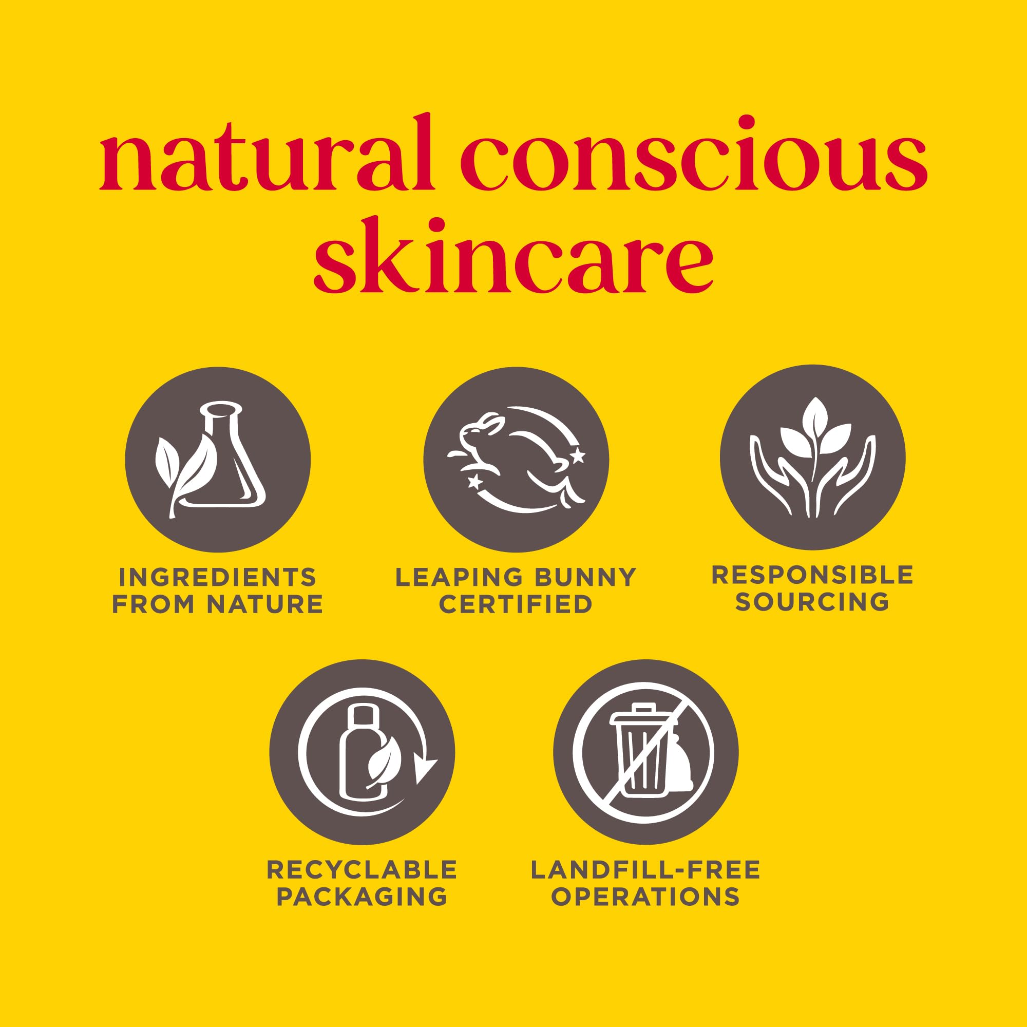 Burt's Bees Lippenbalsam Geburtstagskuchen, Feuchtigkeitsspendender Lippenbalsam mit Bienenwachs und 5