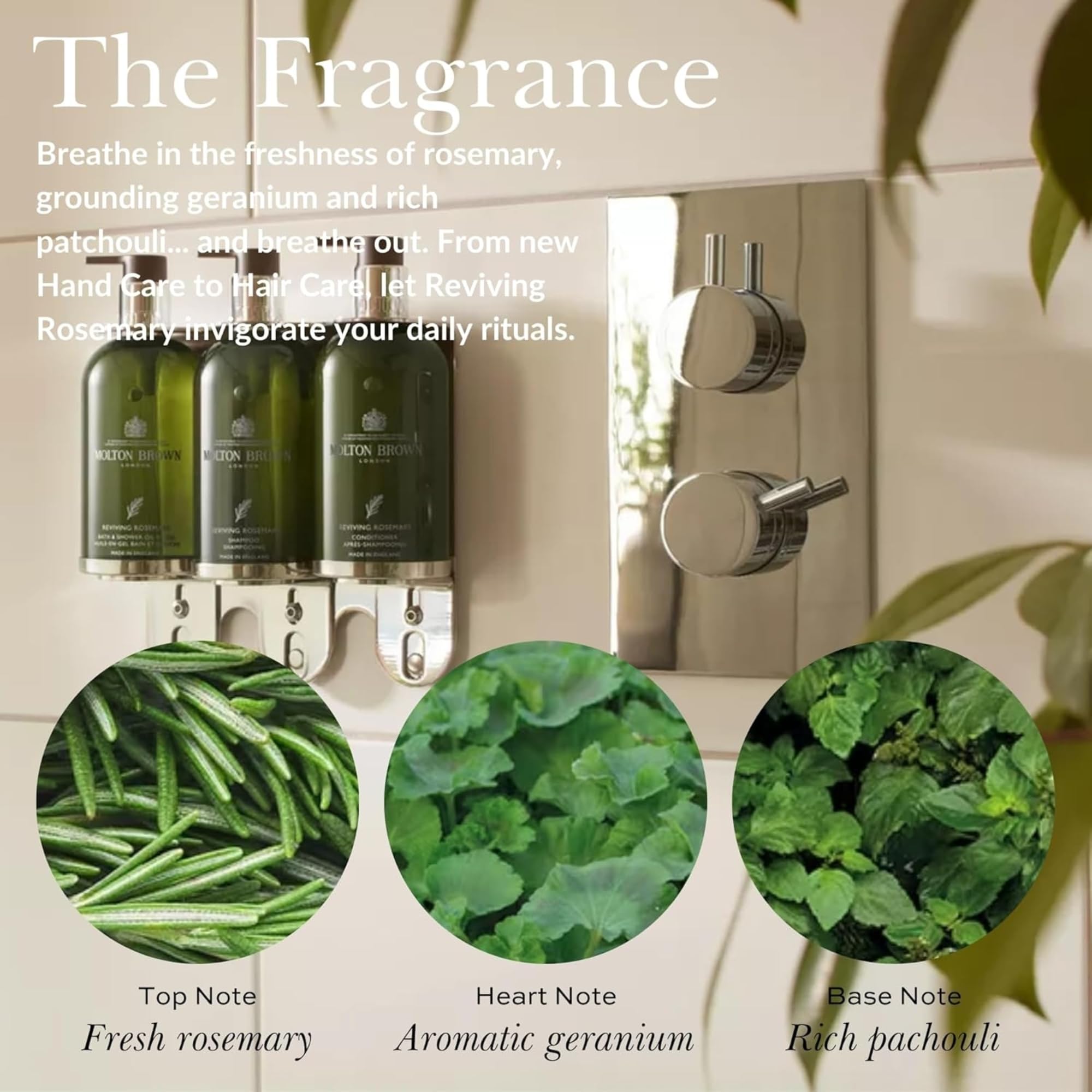 Molton Brown Reviving Rosemary Shampoo, 300 ml 3