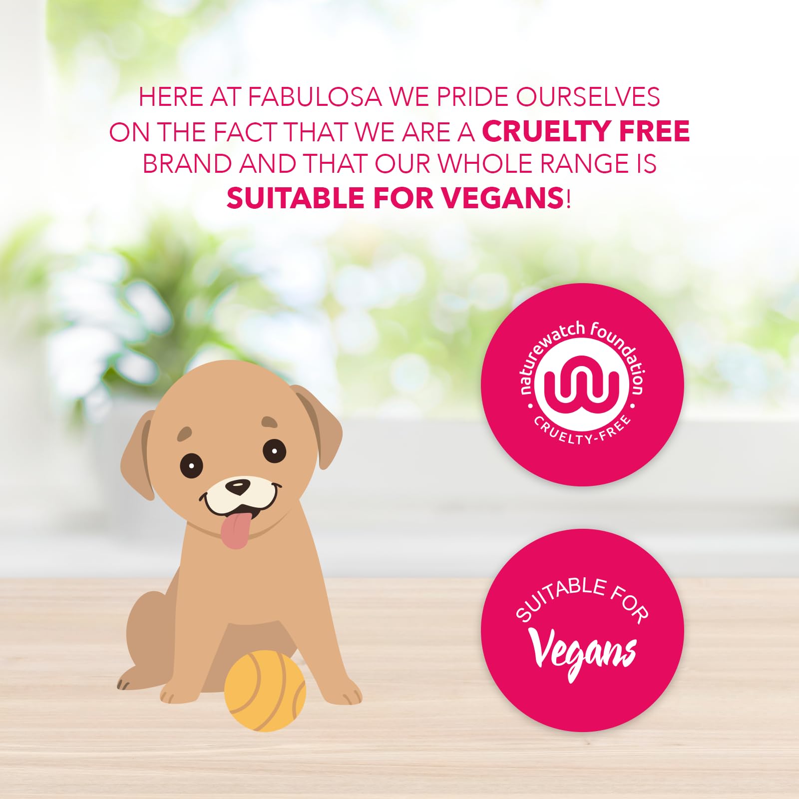 Fabulosa Winter Angel Scented Hand Wash - Gentle Cleansing & Long Lasting Freshness 3