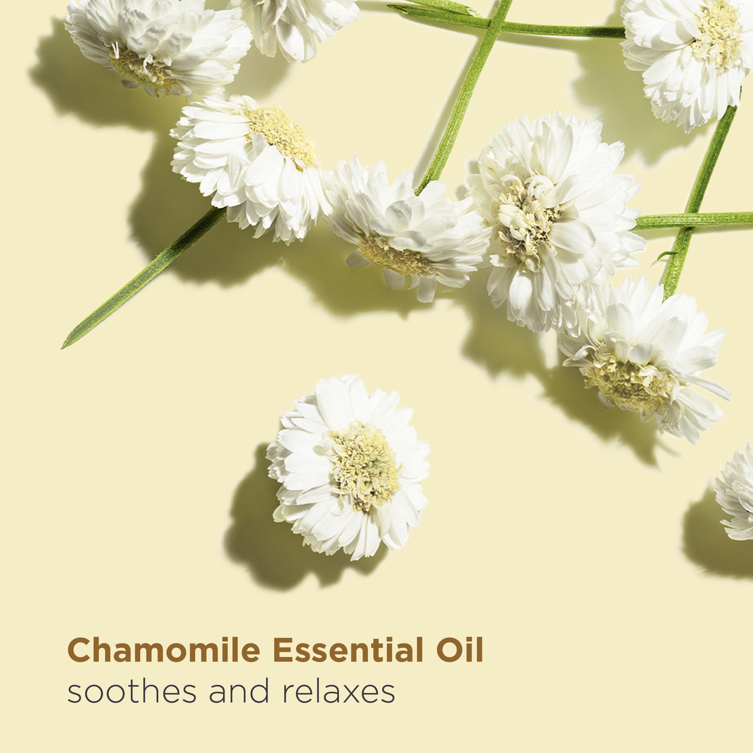 CLARINS Relax Body Treatment Oil 100ml 3