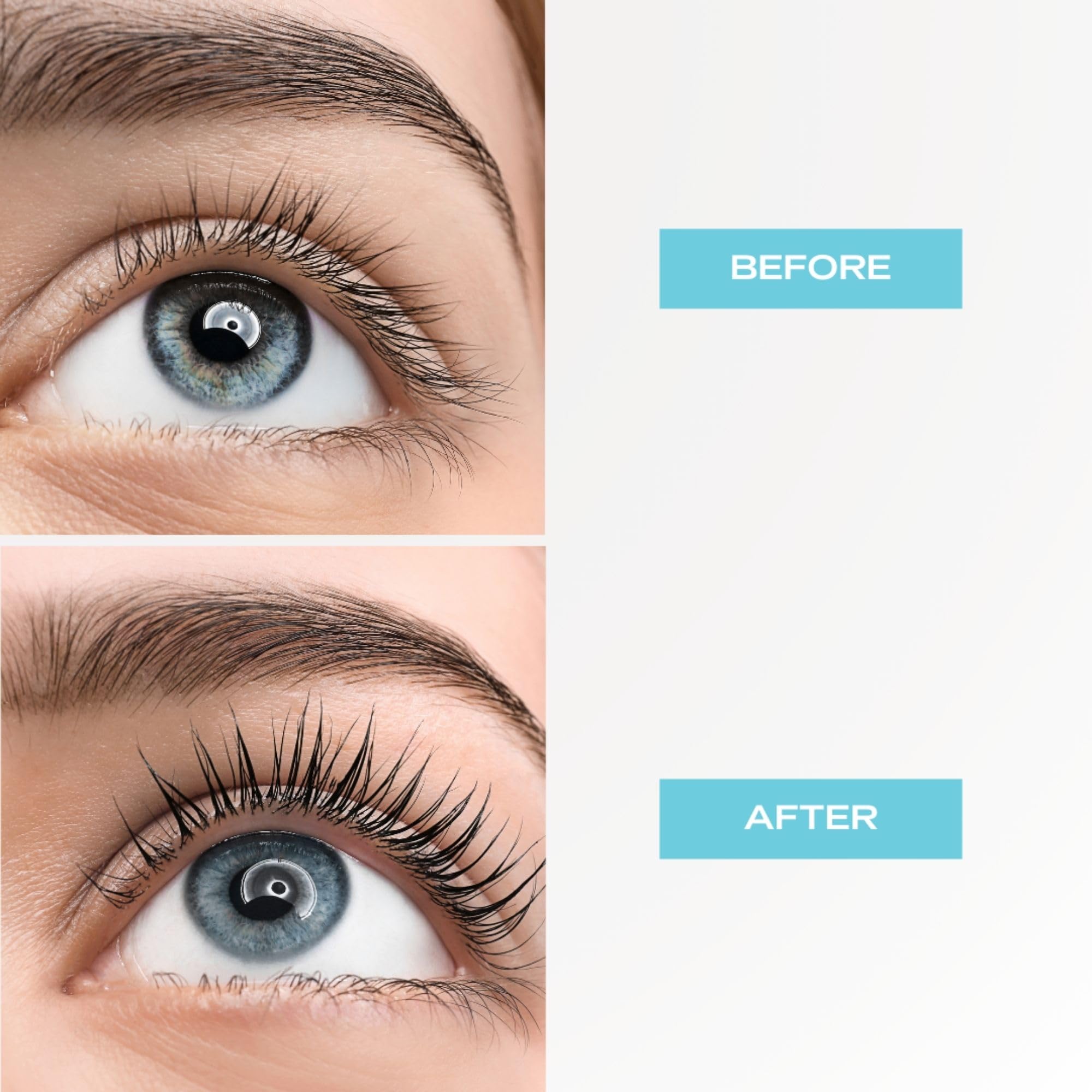 Colorsport 30 Day Semi-Permanent Black Mascara Lash Tint Kit 5