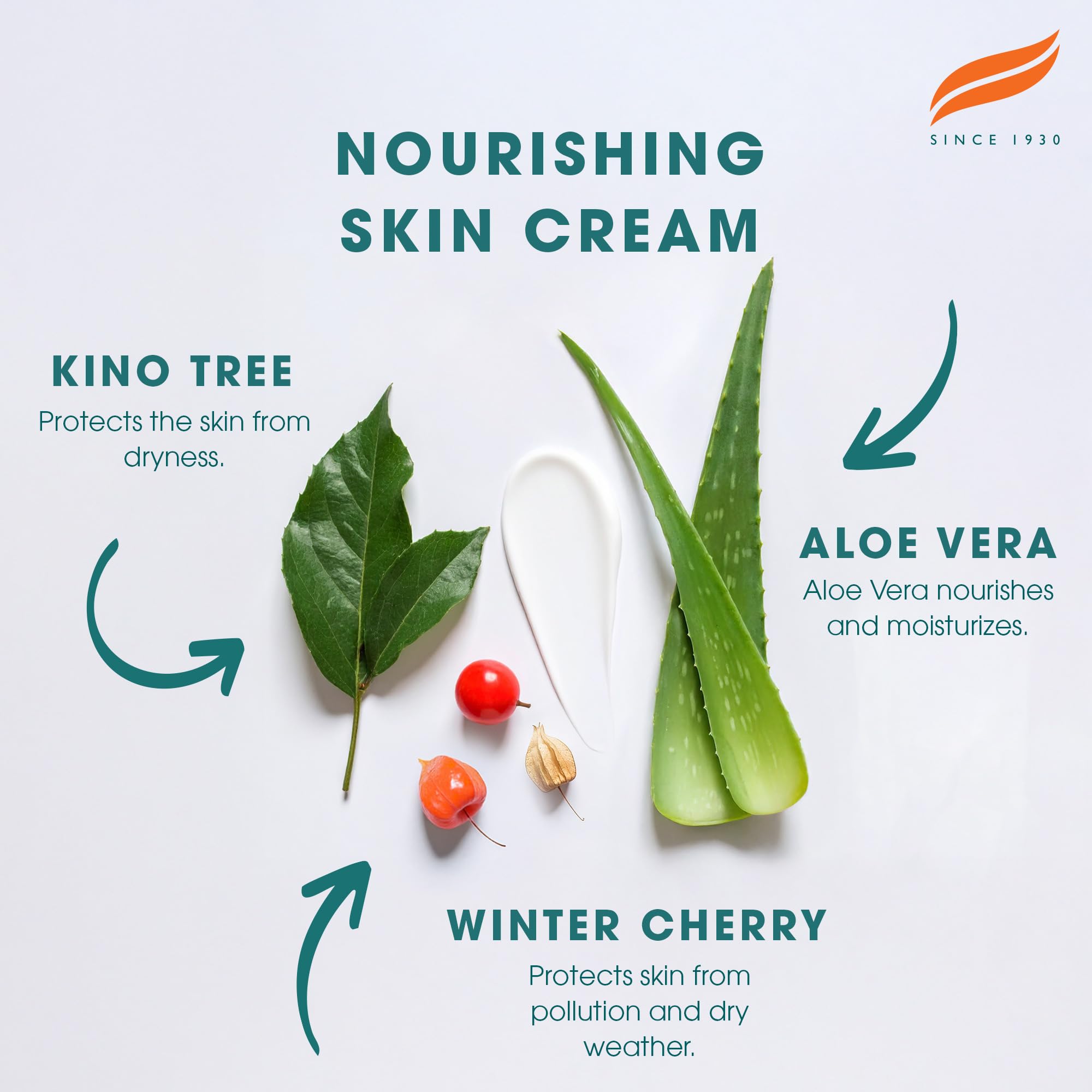 Himalaya Nourishing Skin Cream for Daily Light Moisturization and Protection - 150ml 5