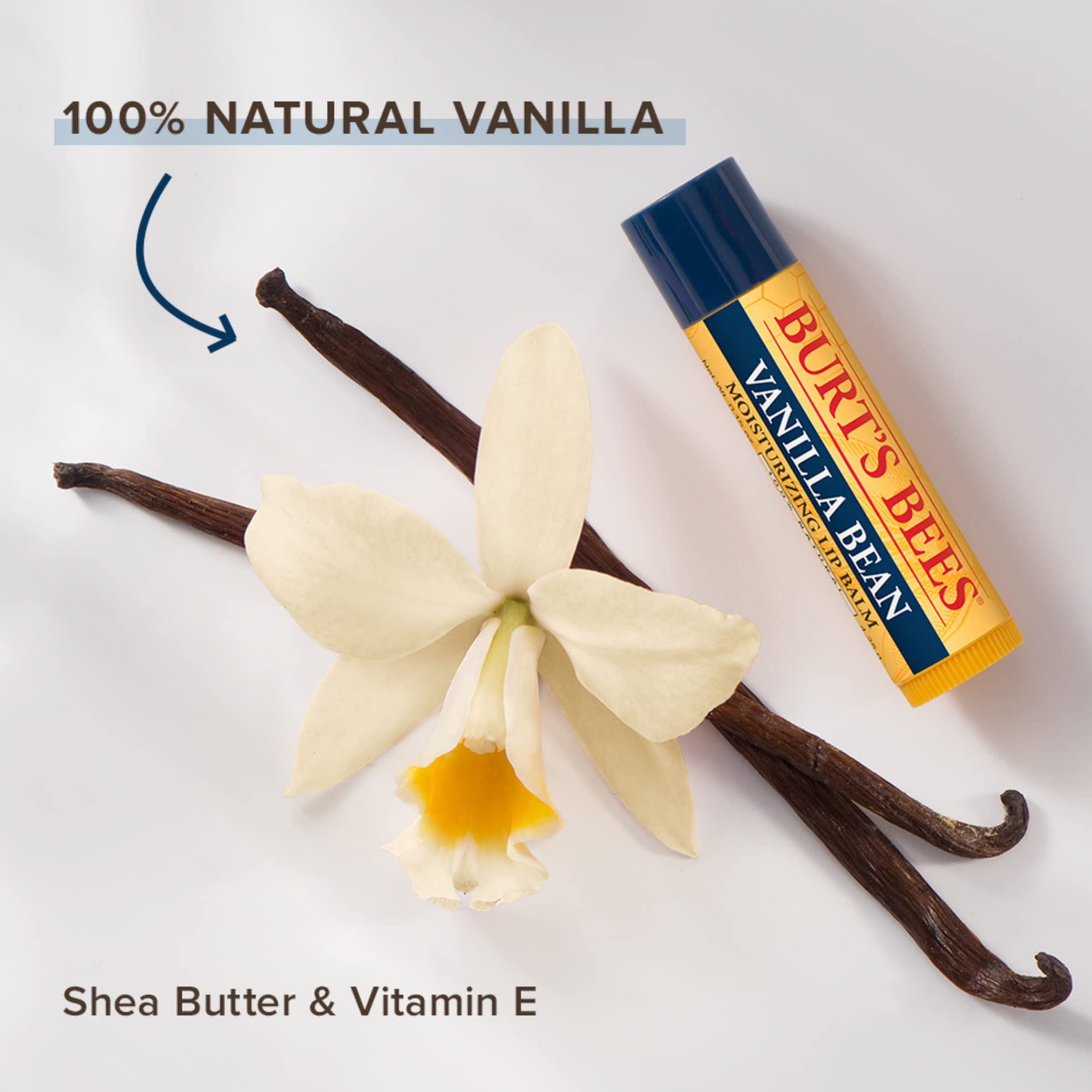 Burt's Bees Lip Balm Value Set: Beeswax & Vanilla Bean Duo for All Day Moisture 4