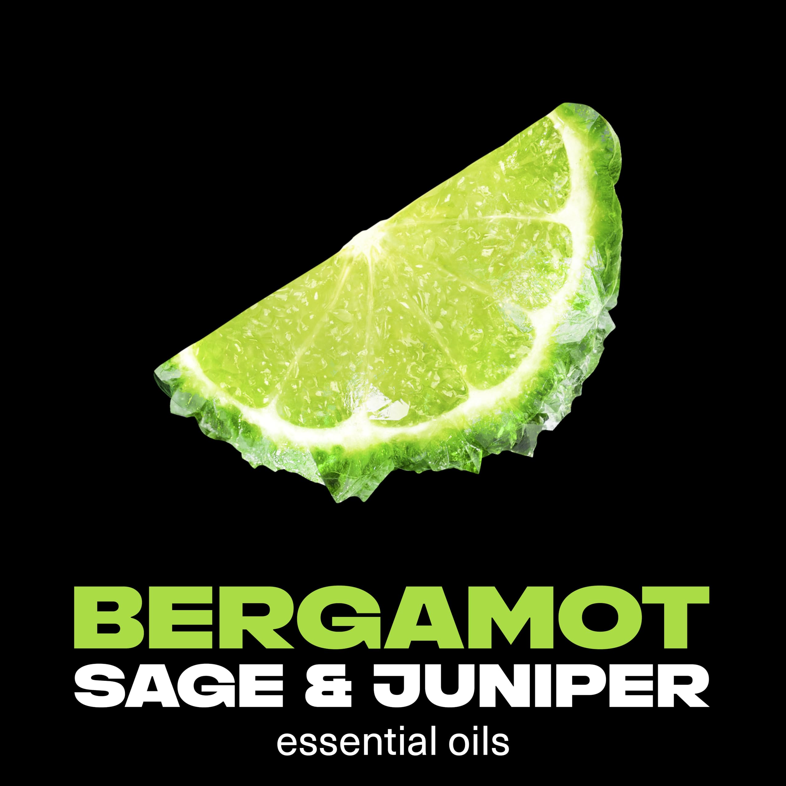 Lynx Fine Fragrance Collection Aqua Bergamot Premium Deodorant Bodyspray 72H Odour Protection 3