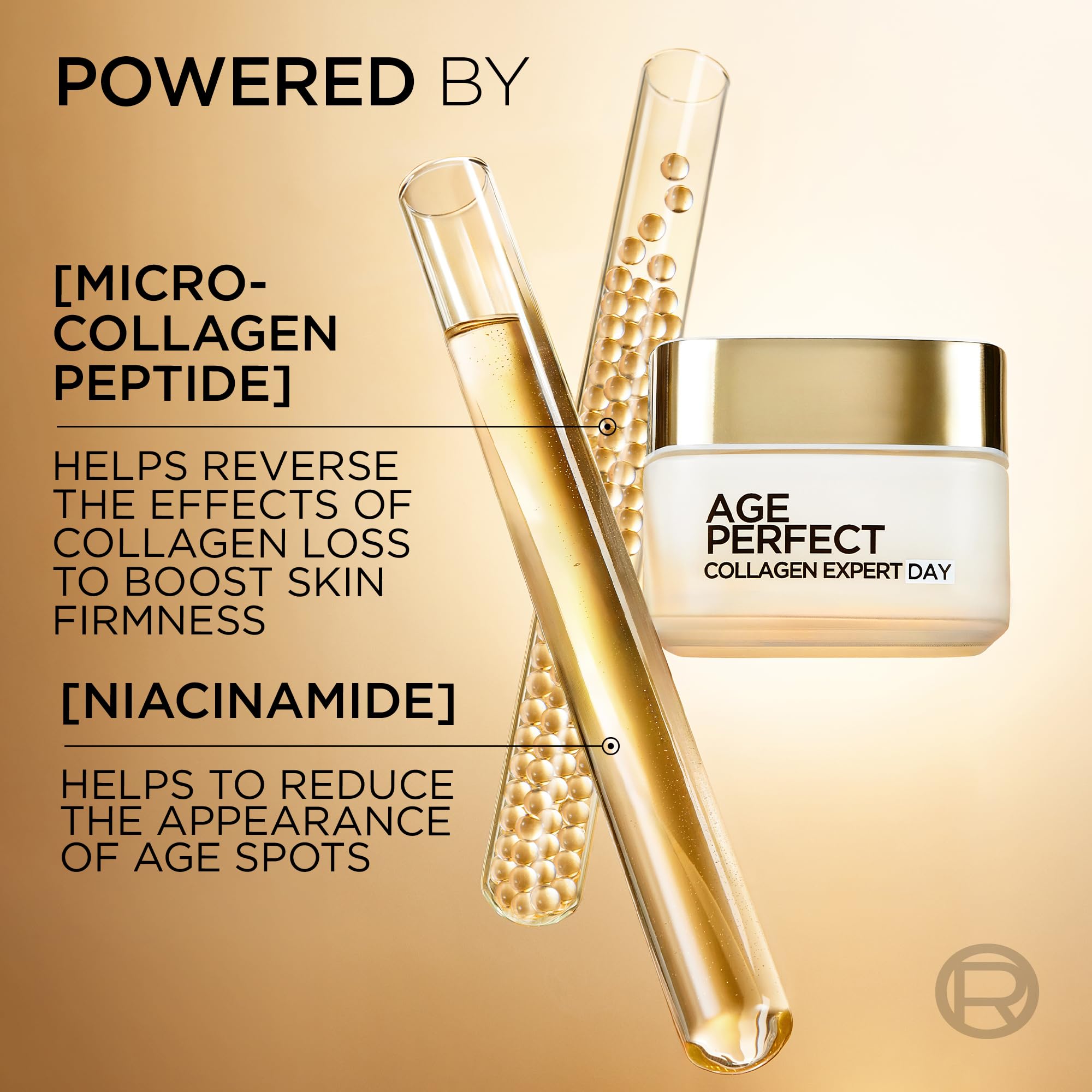 L'Oreal Age Perfect Re-Hydrating Anti-Ageing Day Cream for Mature Skin 50 ml 3