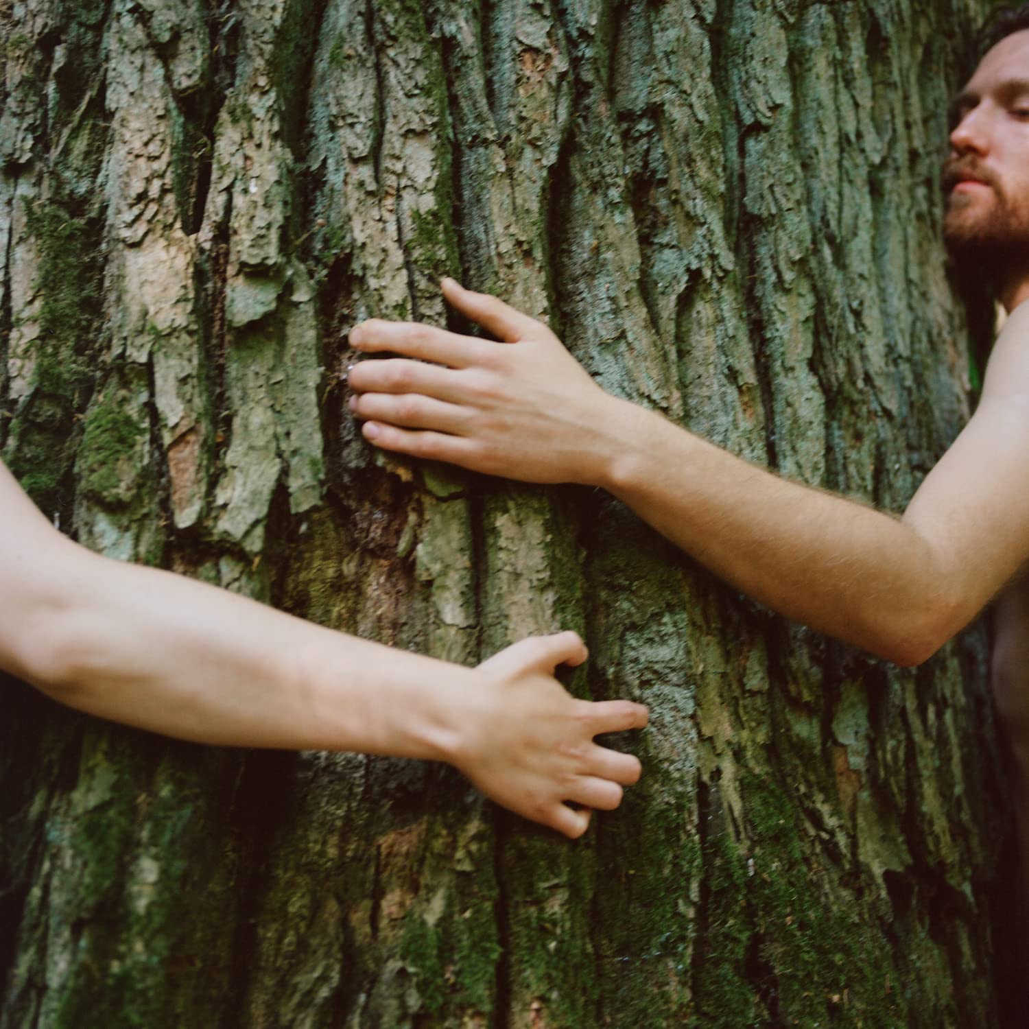 YOPE WOOD Natural Shower Gel with Saffron, Patchouli, Cardamom & Sandalwood 4