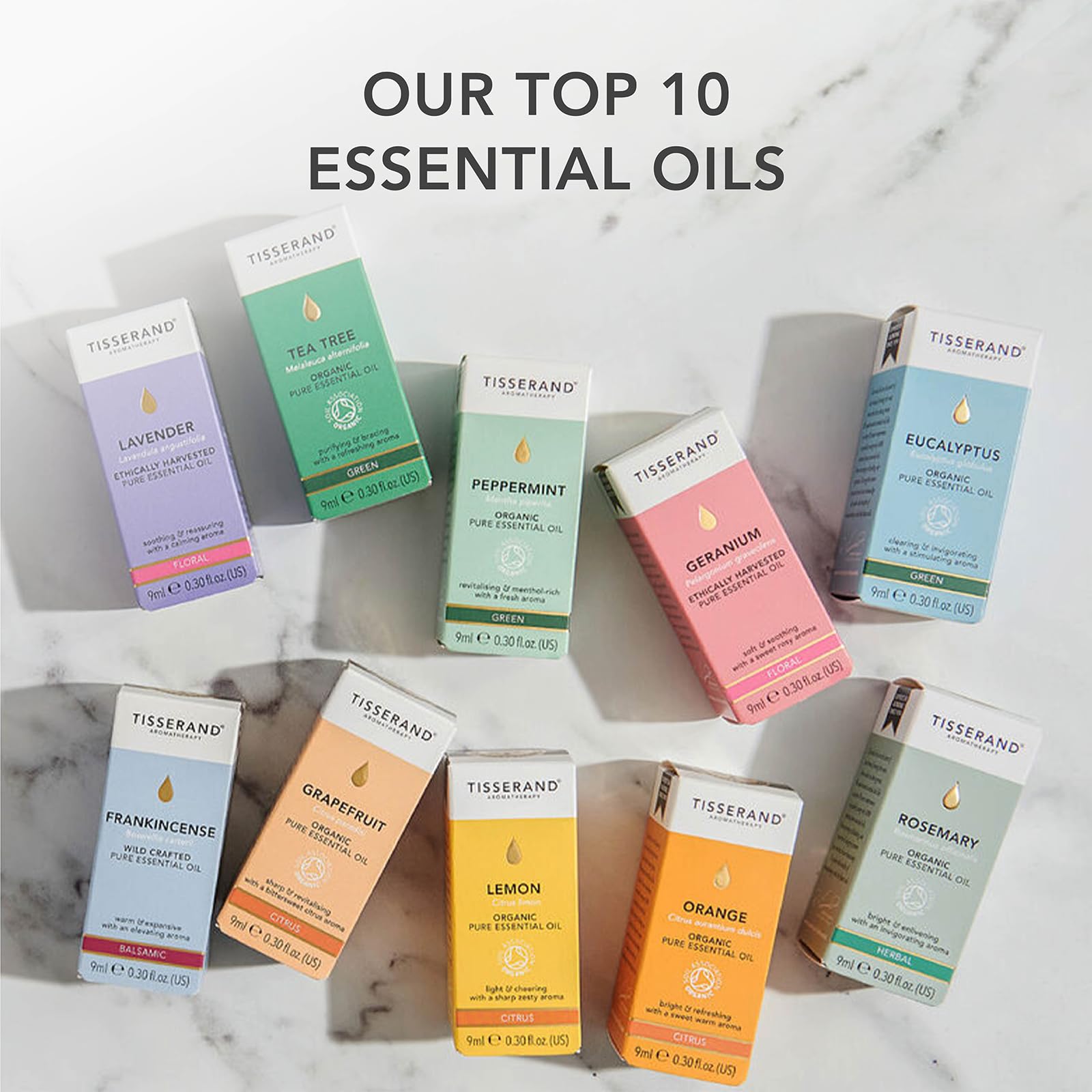 Tisserand - Bio-Rizinusöl - 100% natürlich und rein - Feuchtigkeitsspendendes Massageöl 9