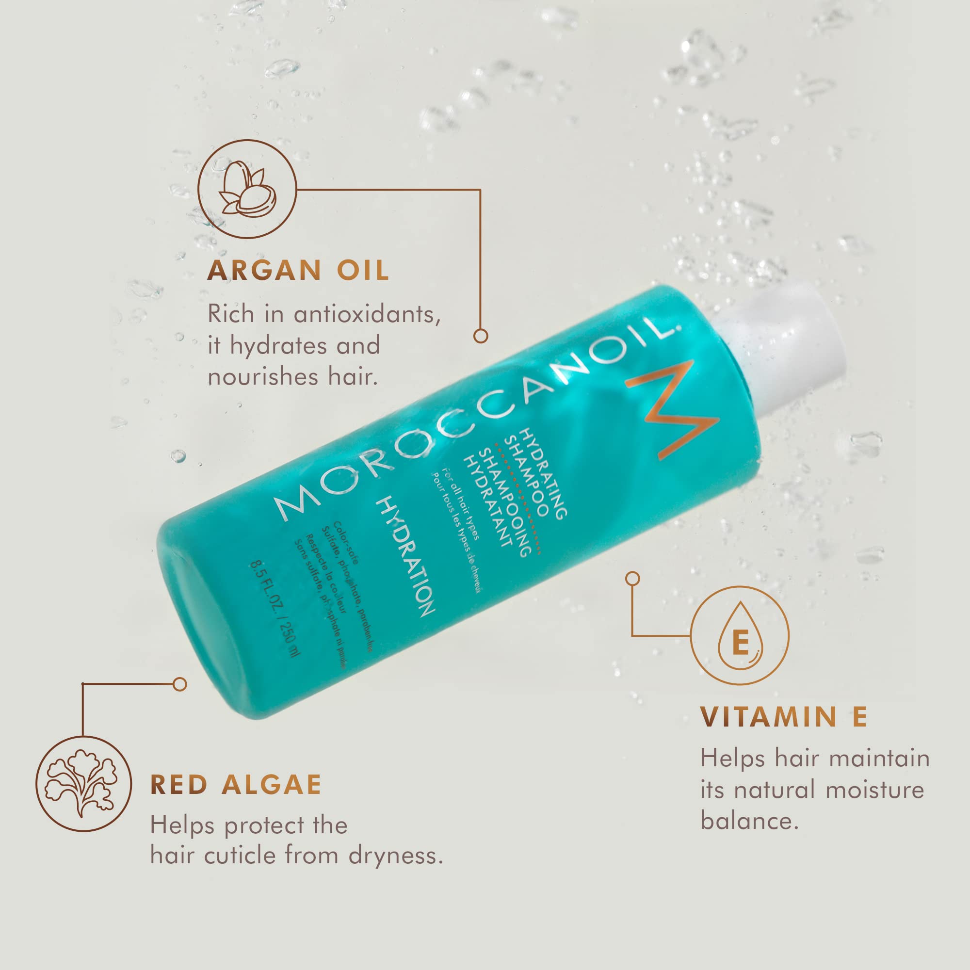Moroccanoil Hydrate and Moisturise Spring Set with Argan Oil 6