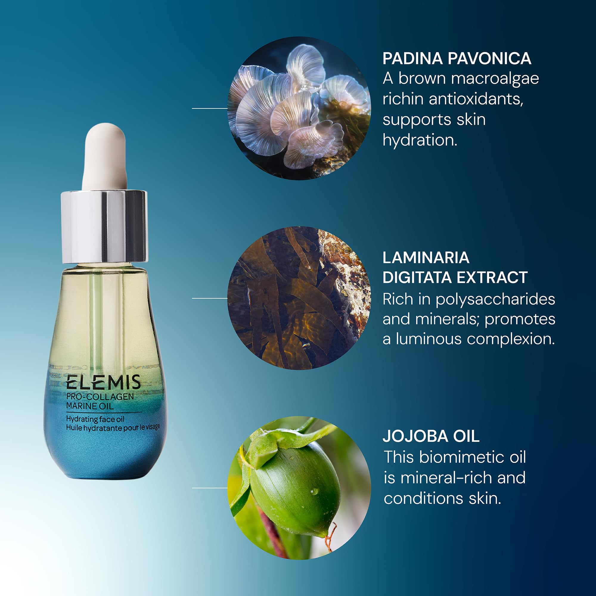 ELEMIS Pro-Collagen Marine Oil, Anti-Falten-Gesichtselixier mit drei algenreichen Wirkstoffen, leichte Gesichtsserum zur Feuchtigkeitsversorgung, Meereskollagen für revitalisierte und strahlende Haut, 15 ml 5