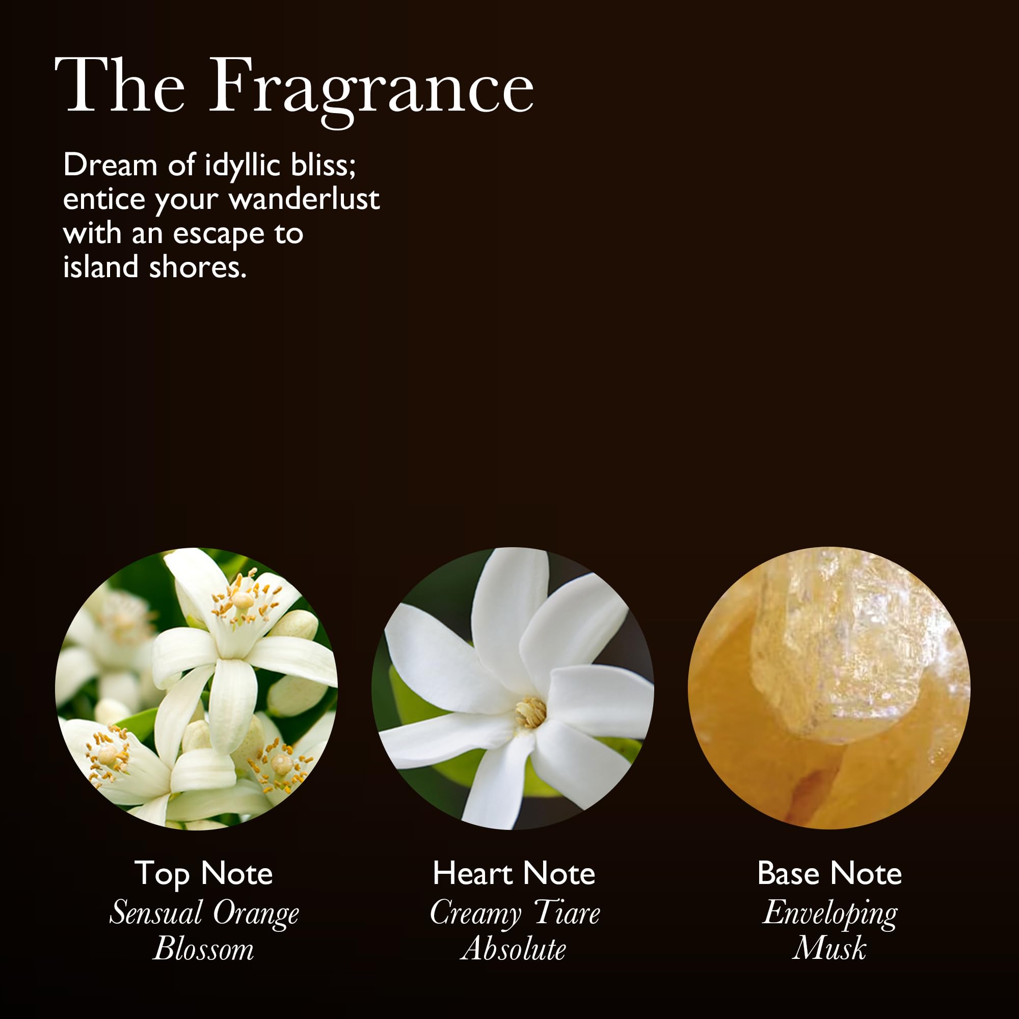 Molton Brown Flora Luminare Fine Liquid Hand Wash 300 ml - White Floral & Musk 3