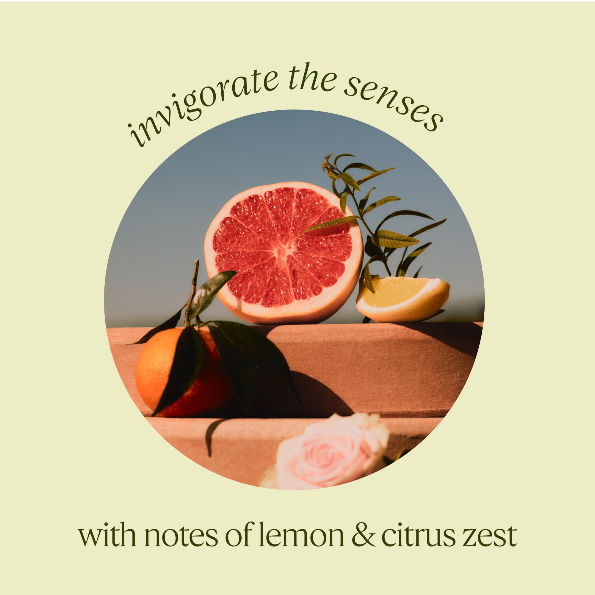 L'OCCITANE Luxus-Seife mit Sheabutter und Verbene, extra sanft, 250 g | Zitrus 5